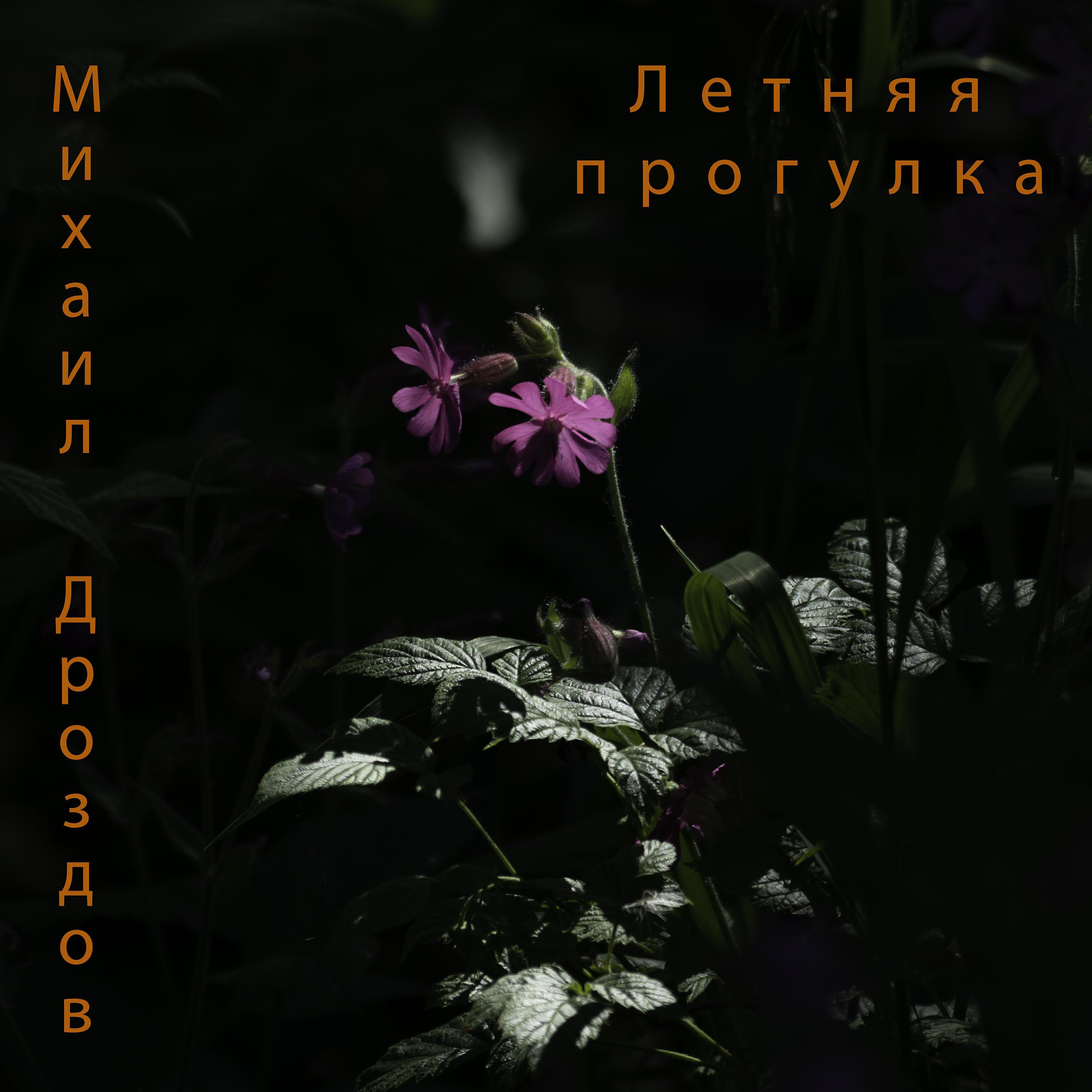 Михаил Дроздов