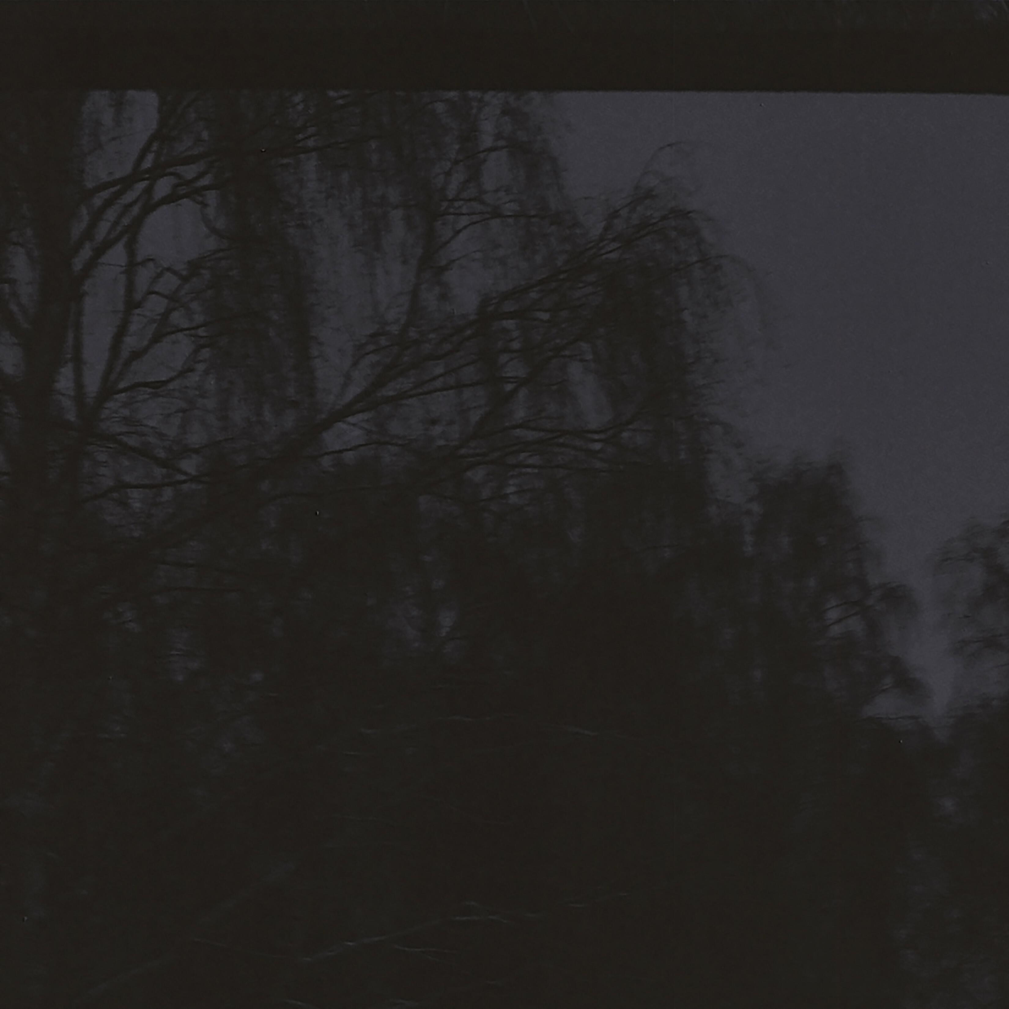 Постер альбома Blue Blood Moon