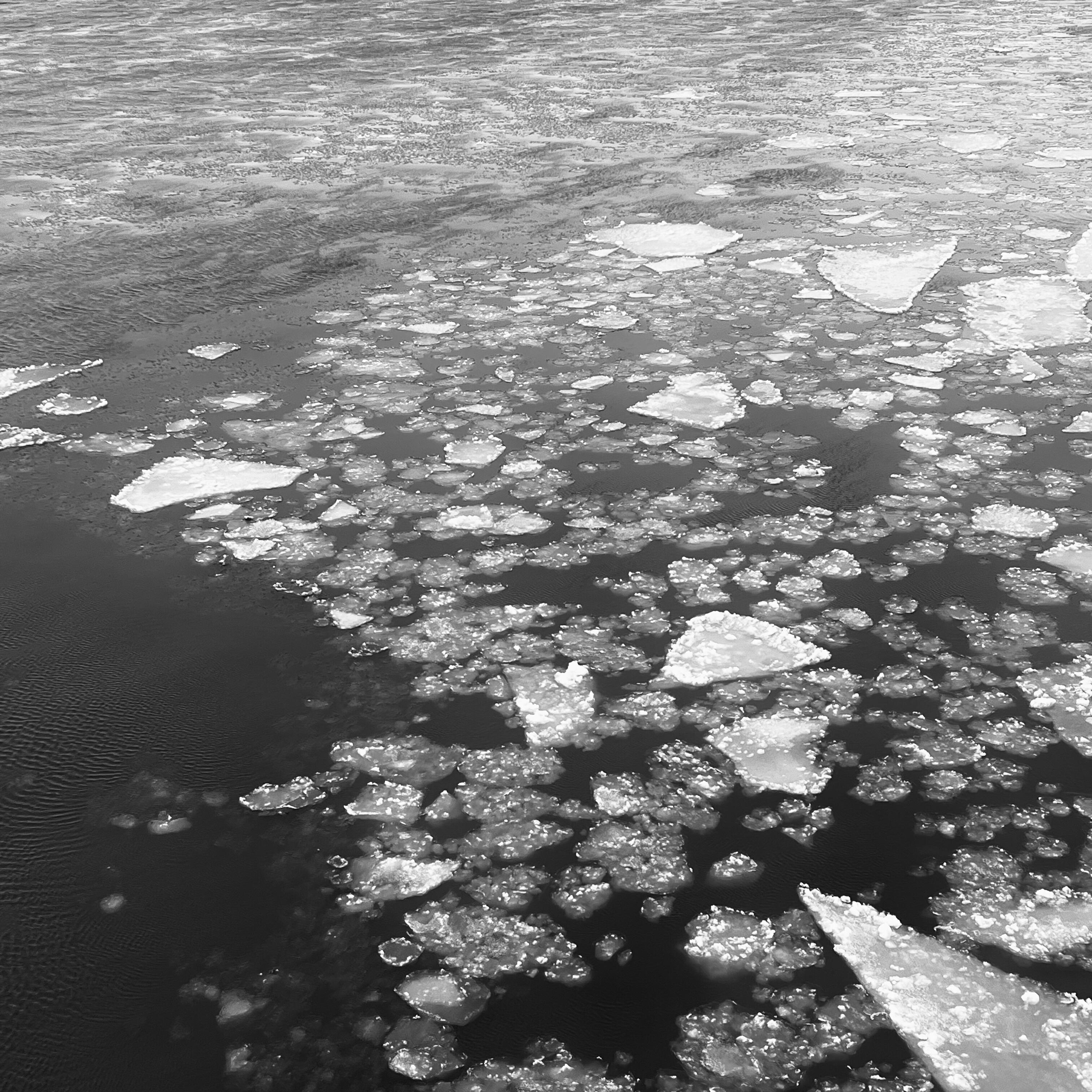 Релиз The Thaw