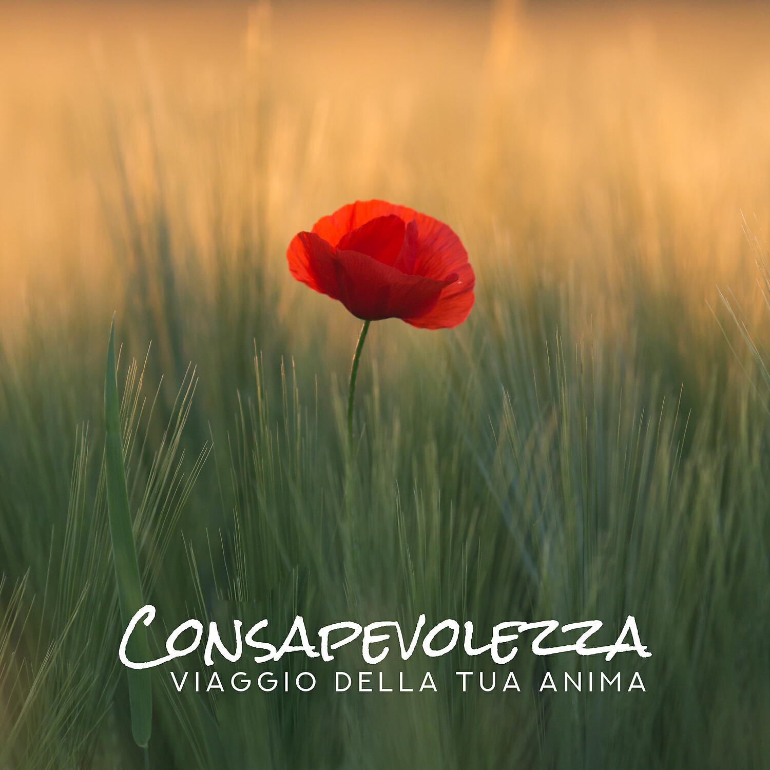 Релиз Consapevolezza: Viaggio della tua anima - Magica bella musica