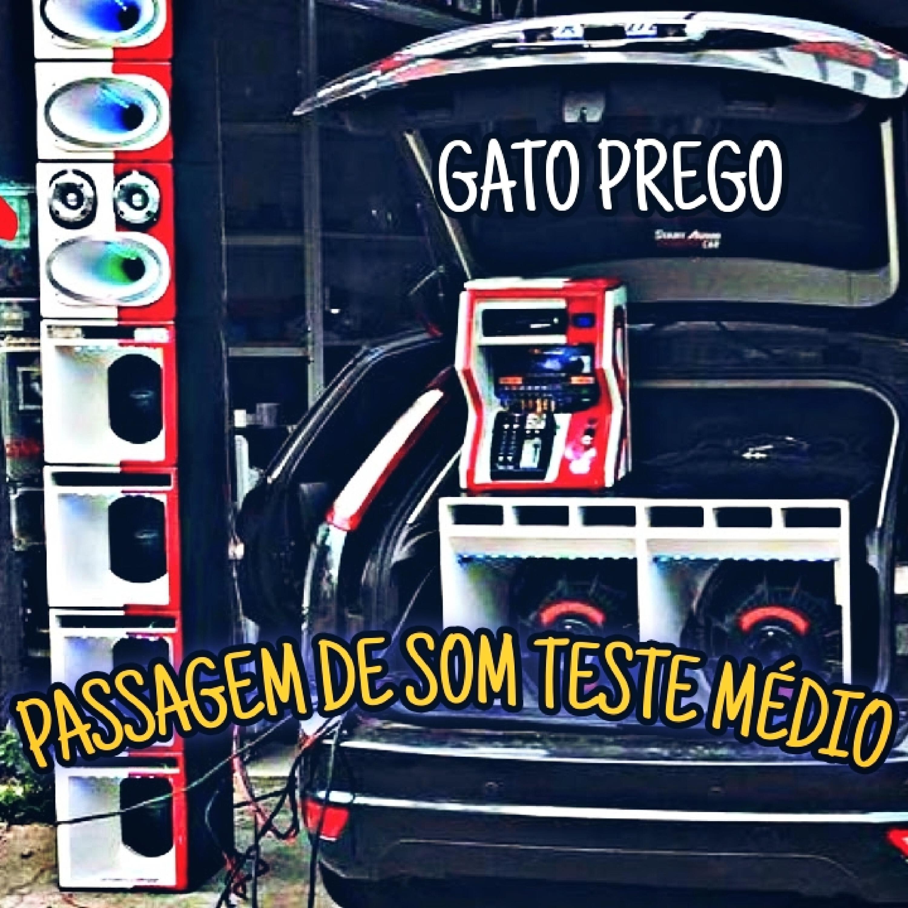 Gato prego