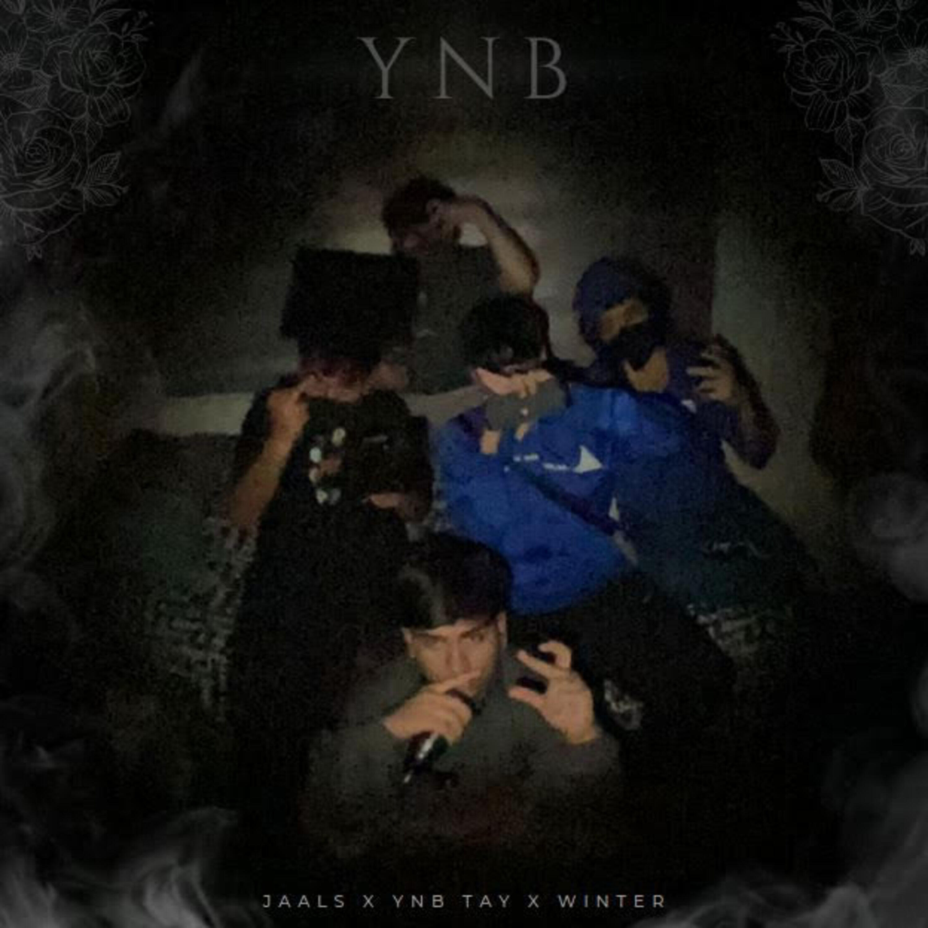 Релиз Ynb