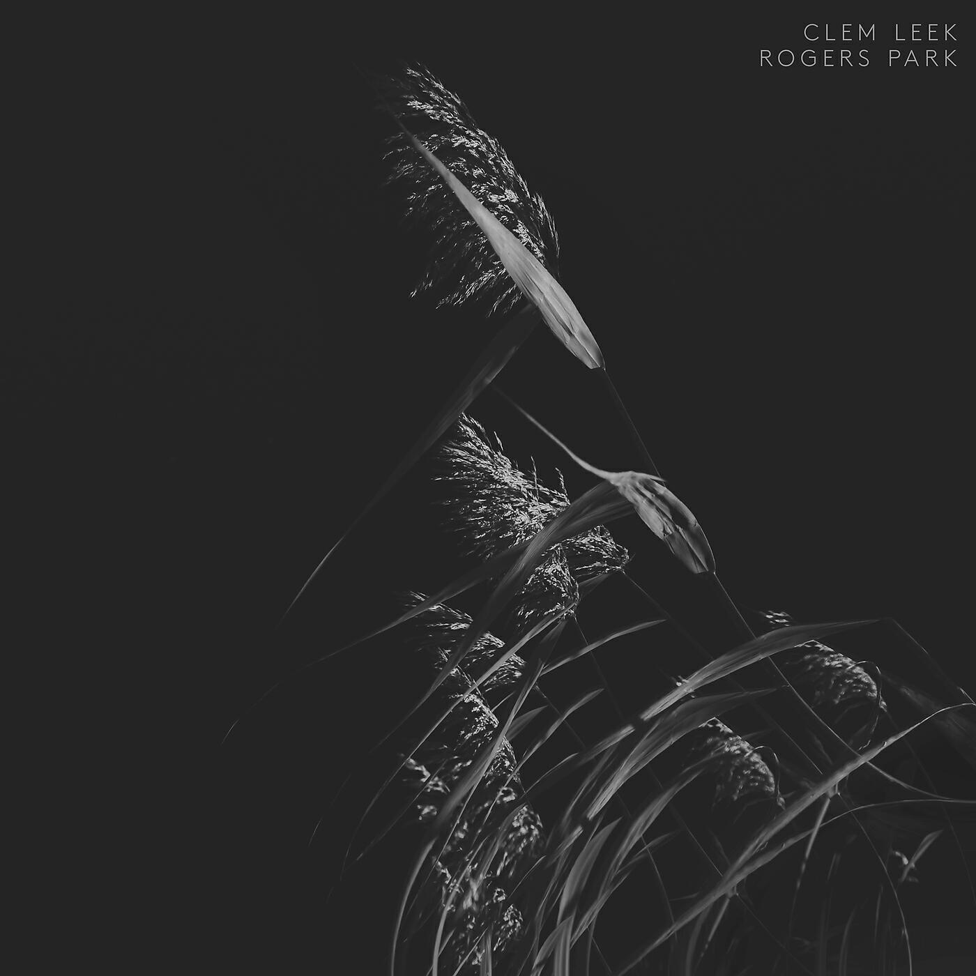 Релиз Rogers Park