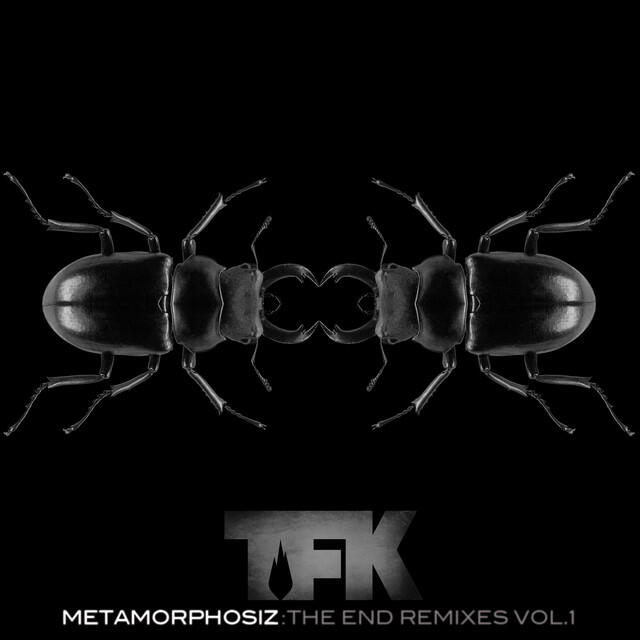 Релиз Metamorphosiz: The End (Remixes, Vol. 1)