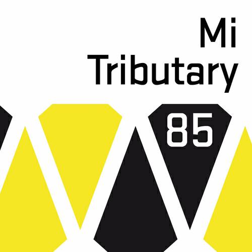Релиз Tributary