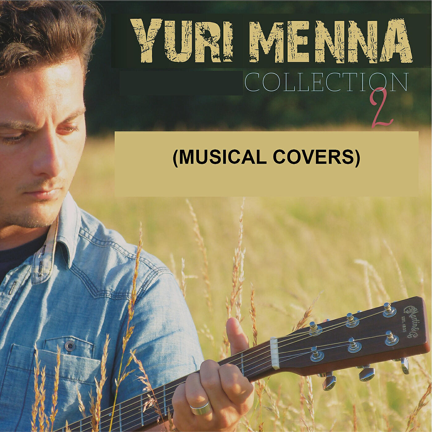 Релиз Collection 2 (Musical Covers)