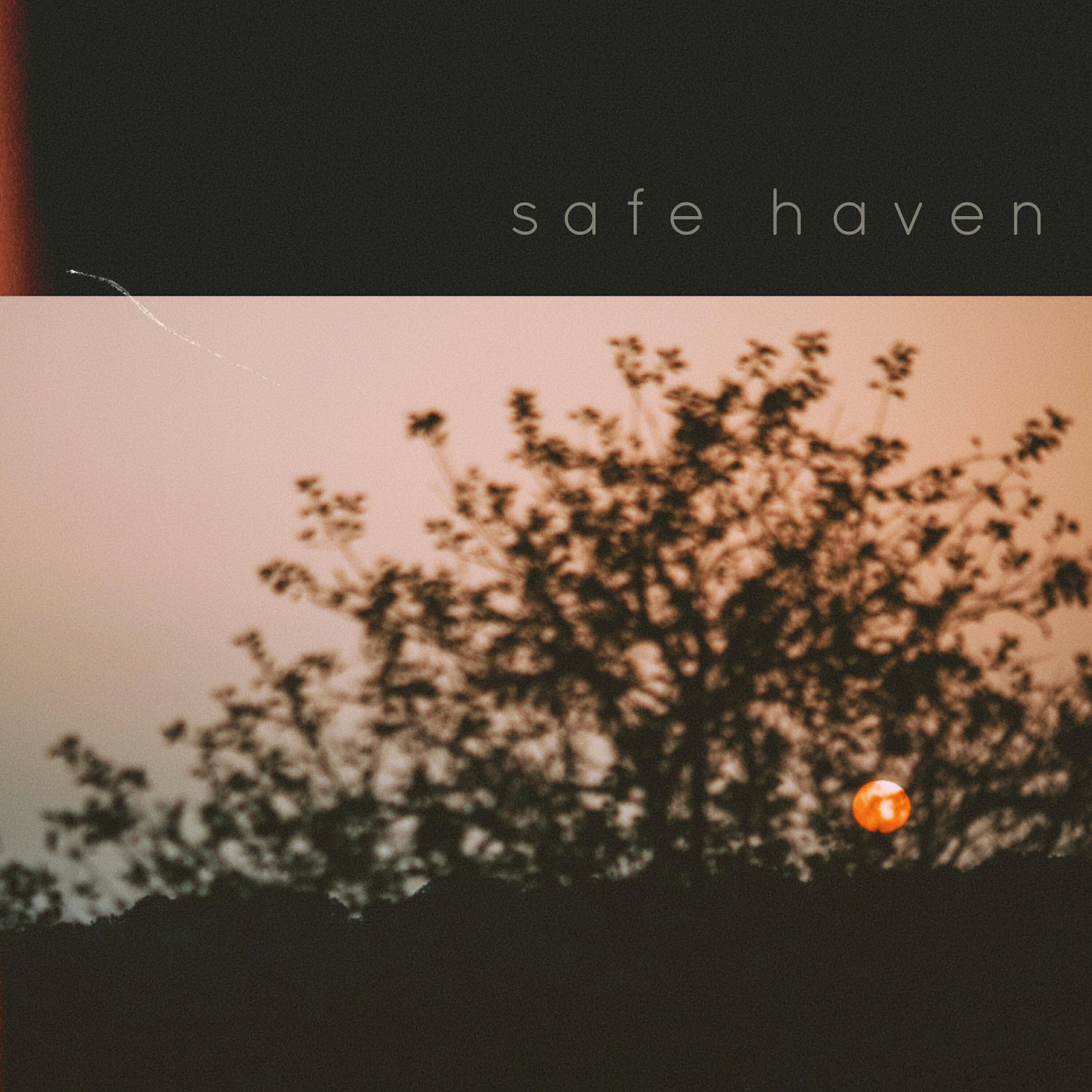 Релиз safe haven