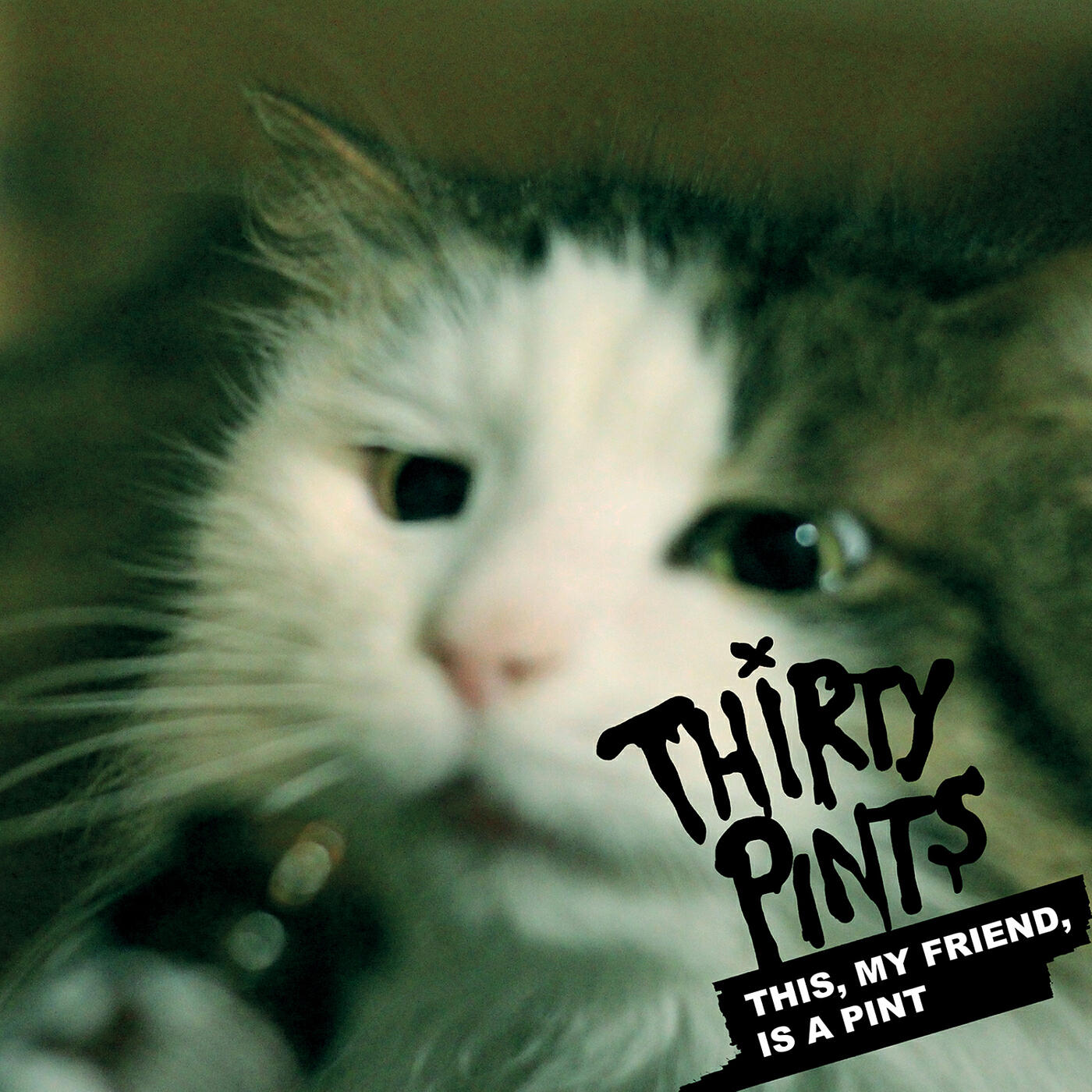 Релиз This My Friend Is a Pint