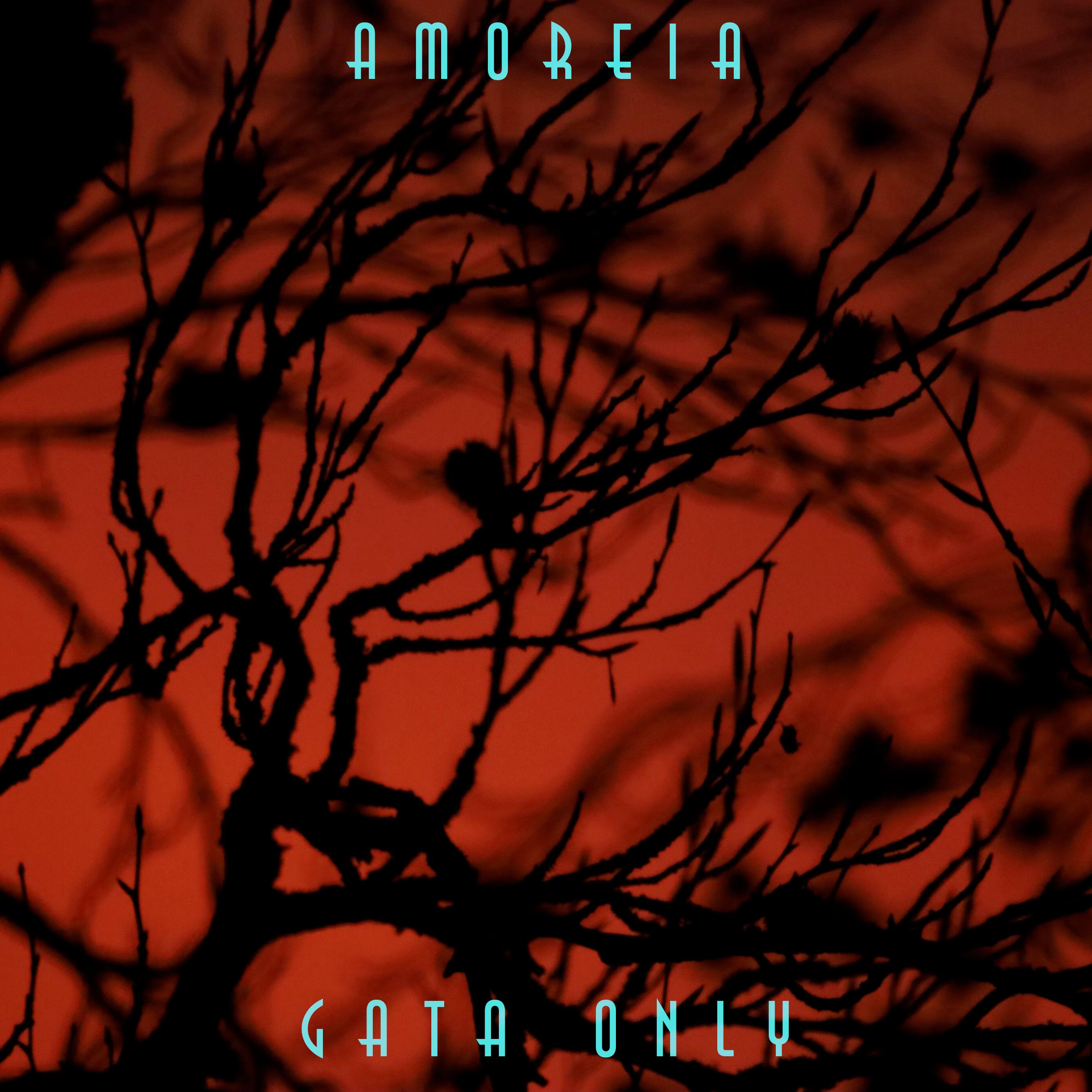Релиз Gata Only