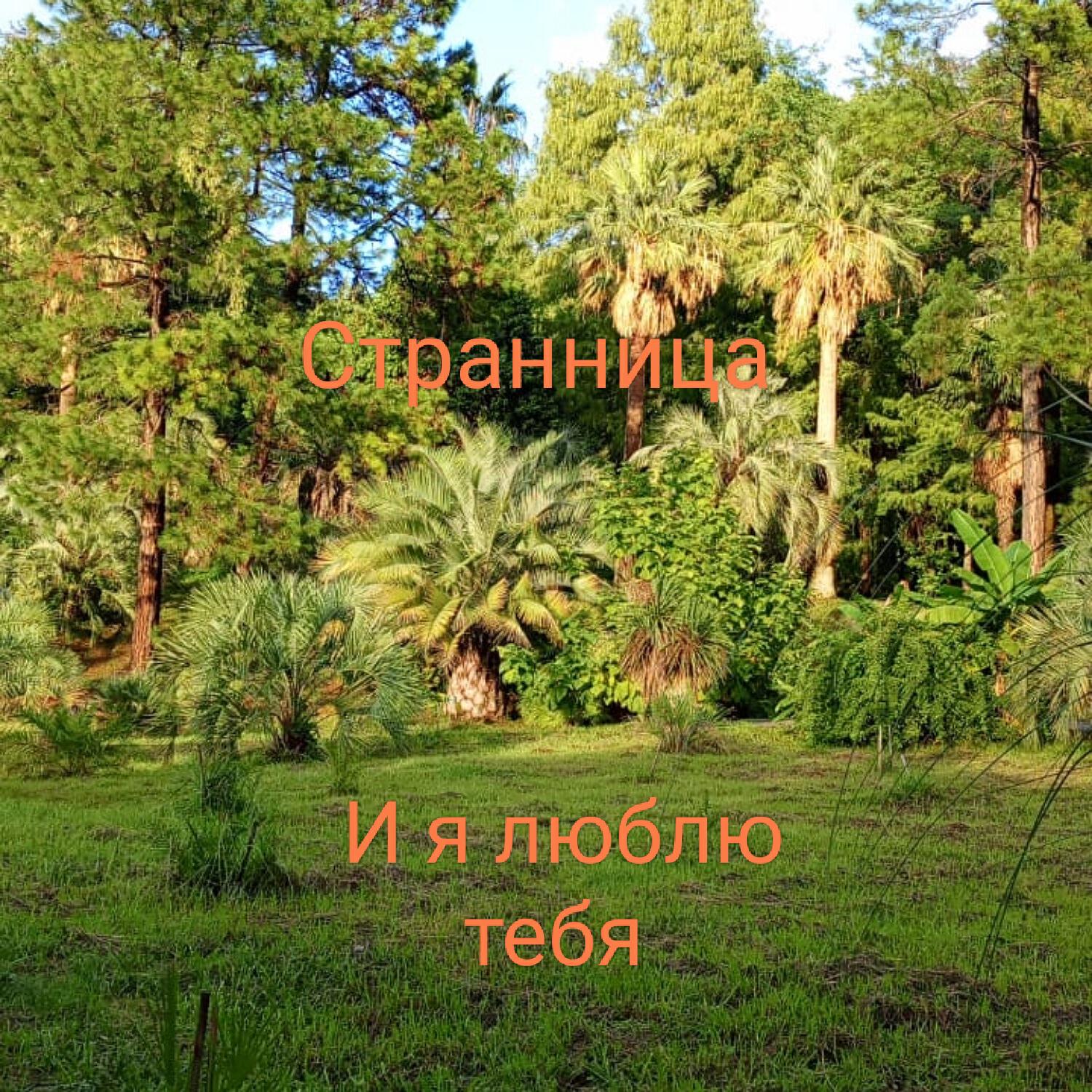 Странница
