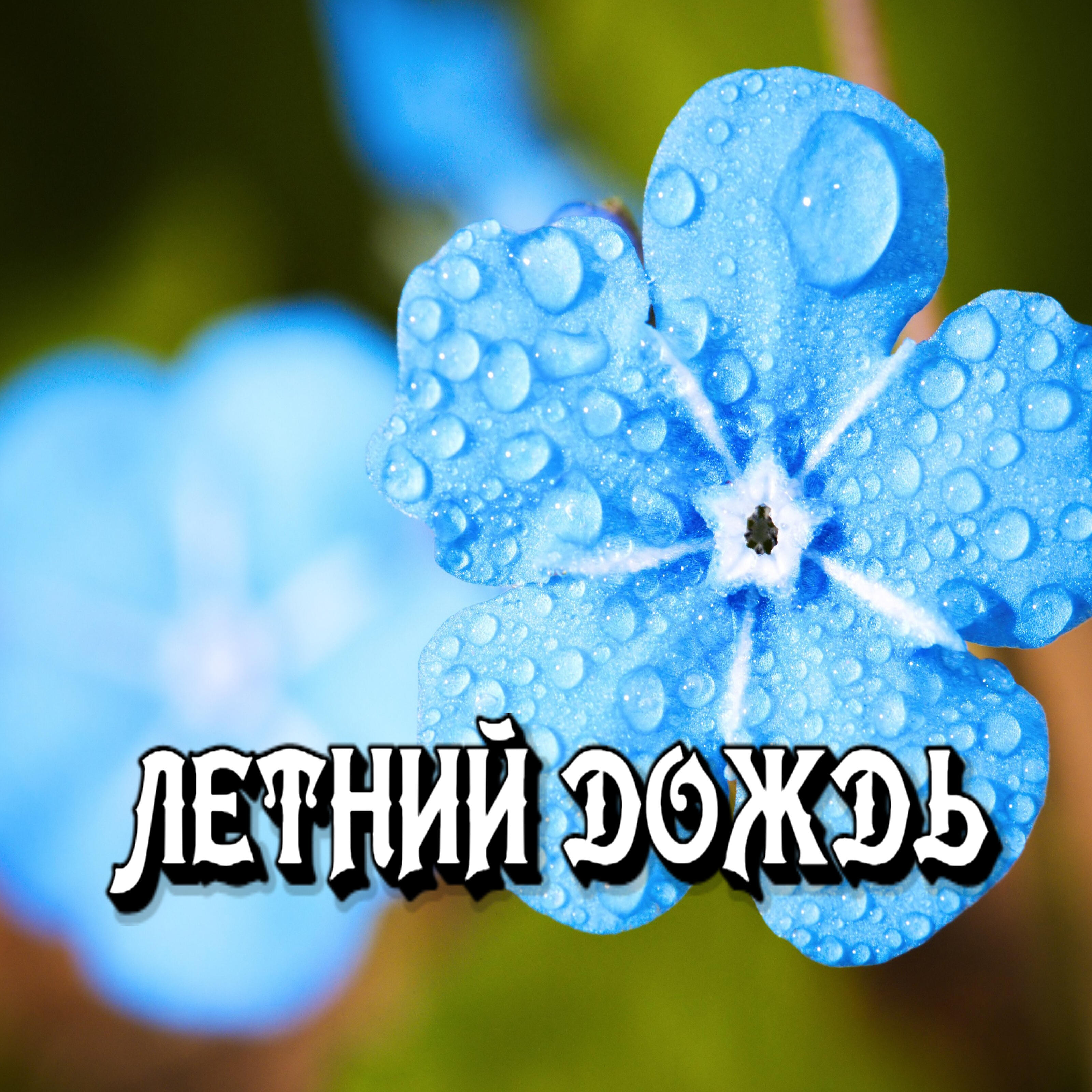 Релиз Летний дождь