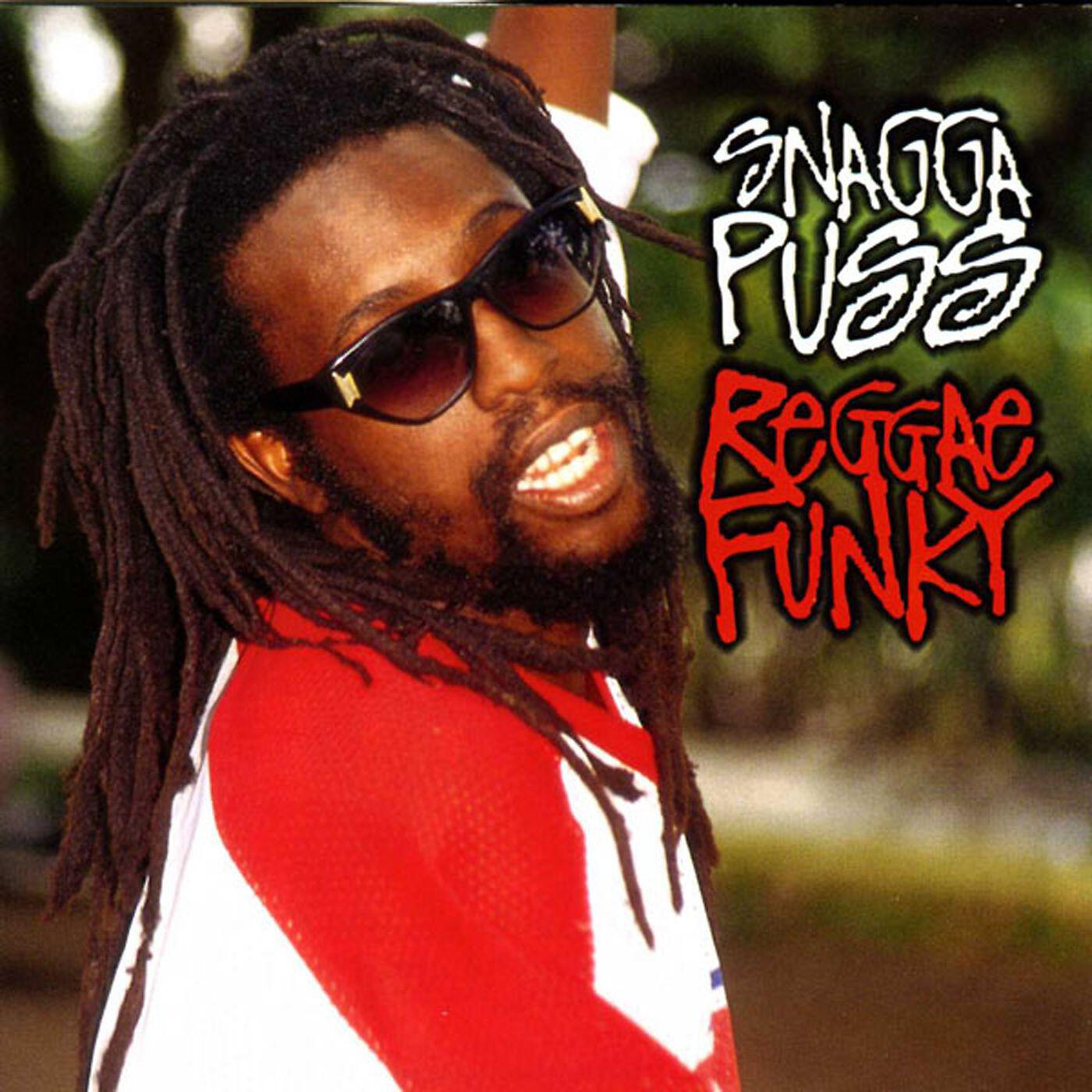 Релиз Reggae Funky