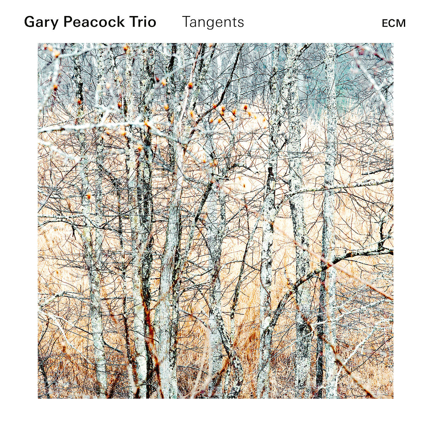 Релиз Tangents