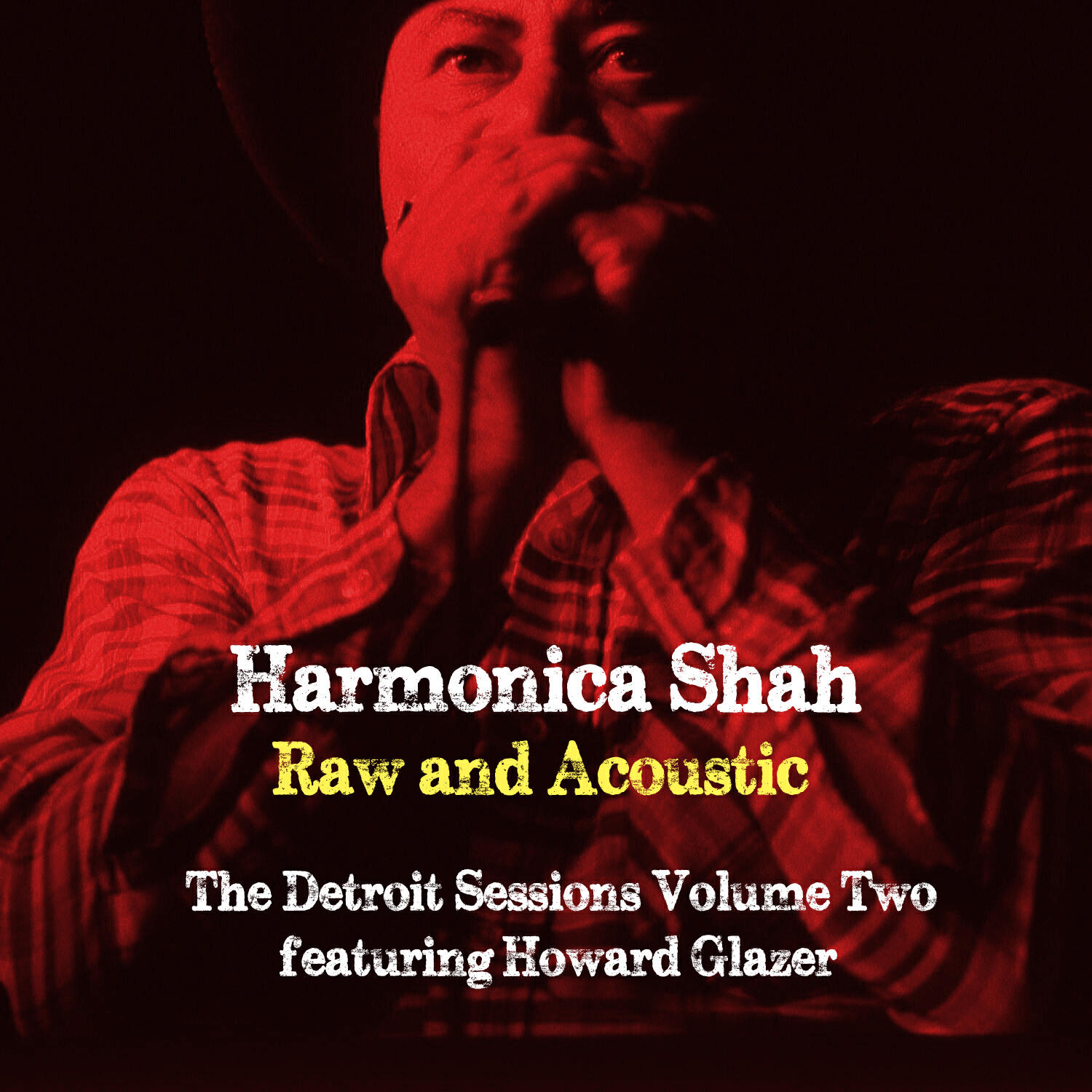 Релиз Raw and Acoustic - The Detroit Sessions Vol. Two