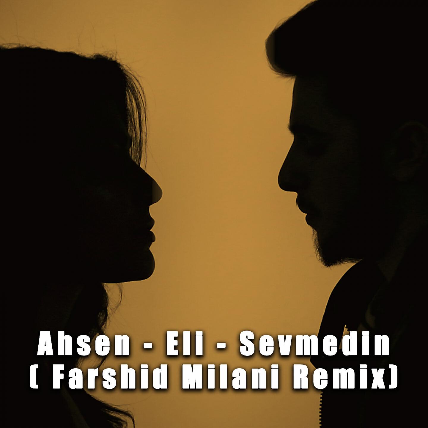 Релиз Sevmedin (Farshid Milani Remix)
