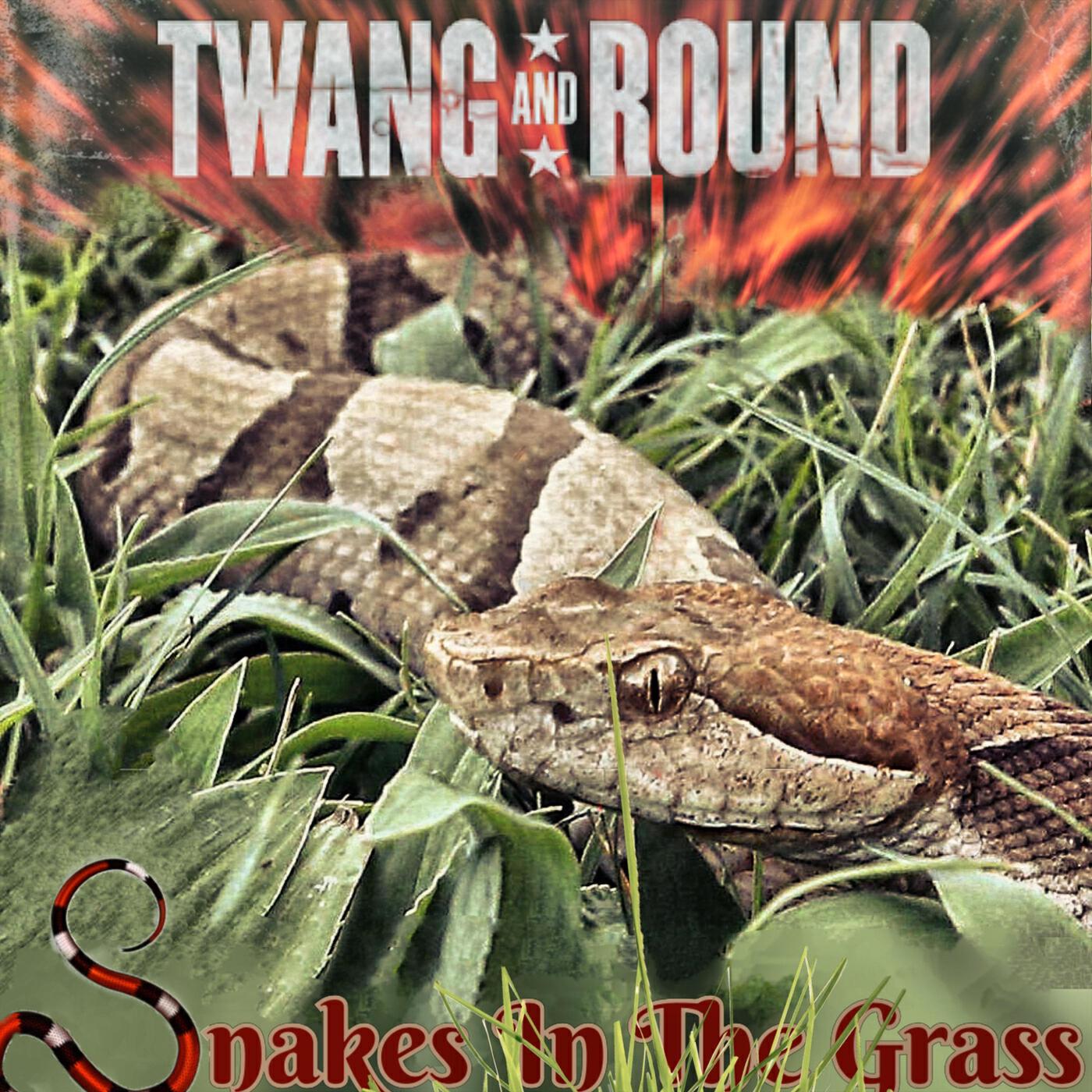 Релиз Snakes In The Grass