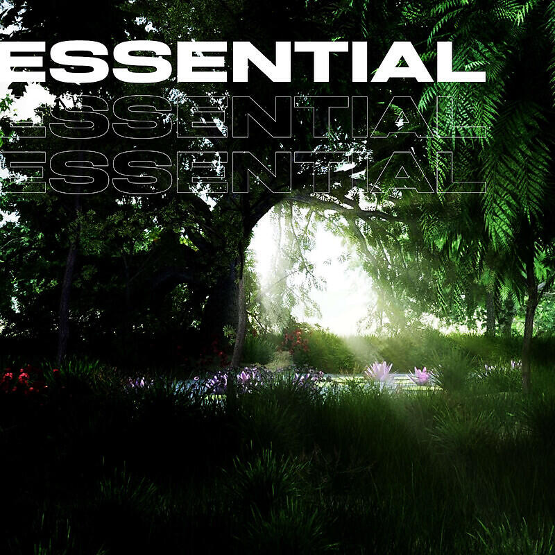 Релиз Essential