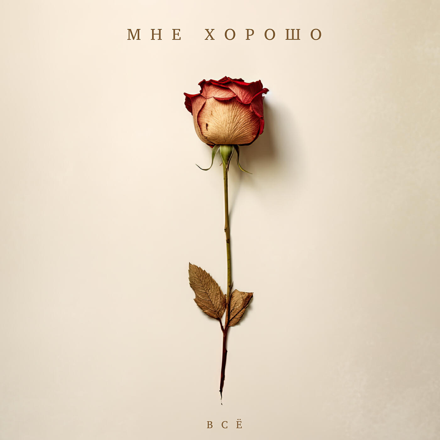 Релиз Всё