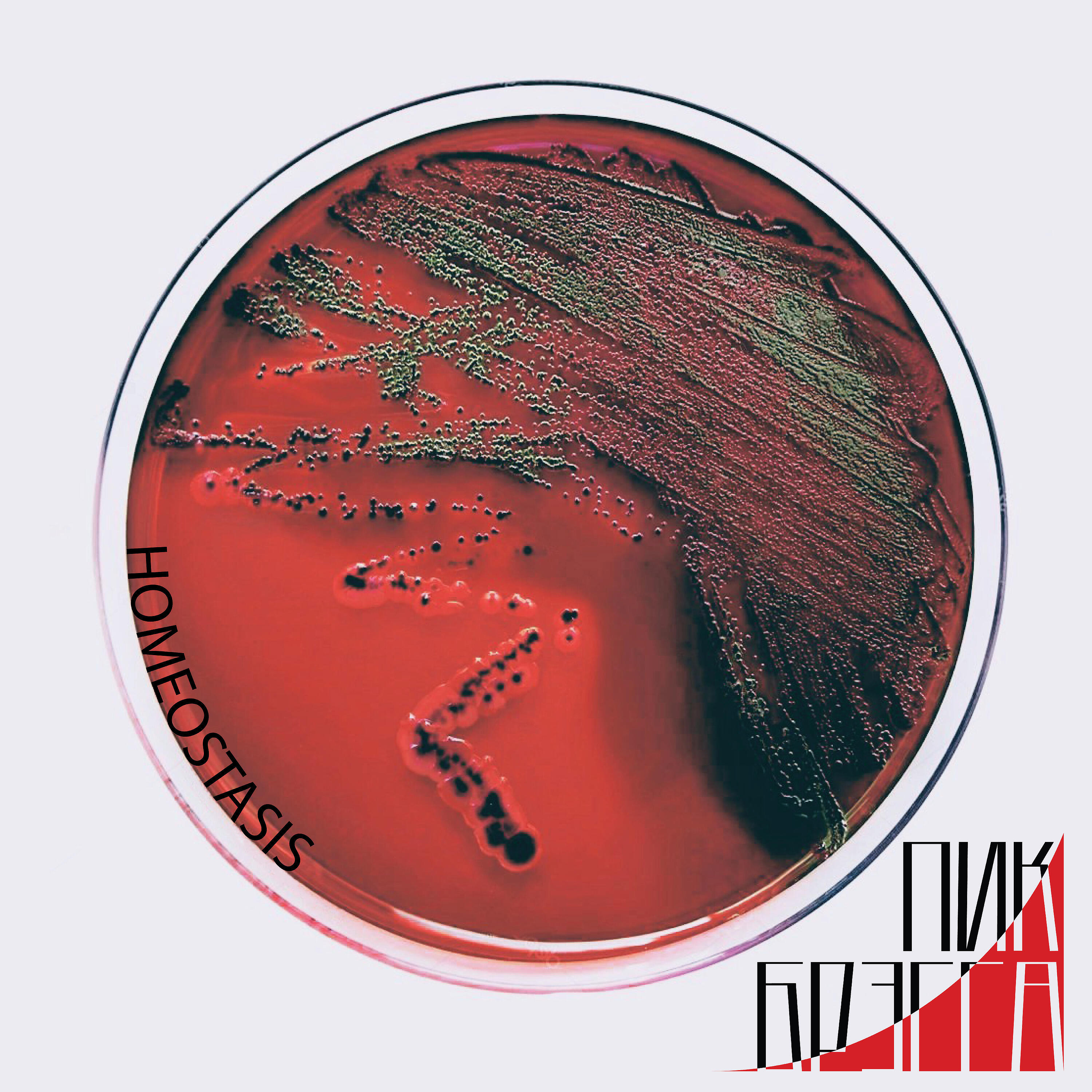 Релиз Homeostasis