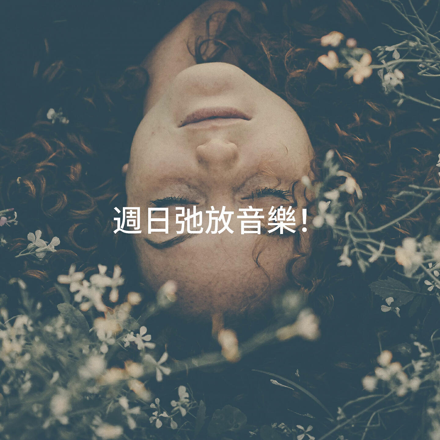 Релиз 週日弛放音樂！