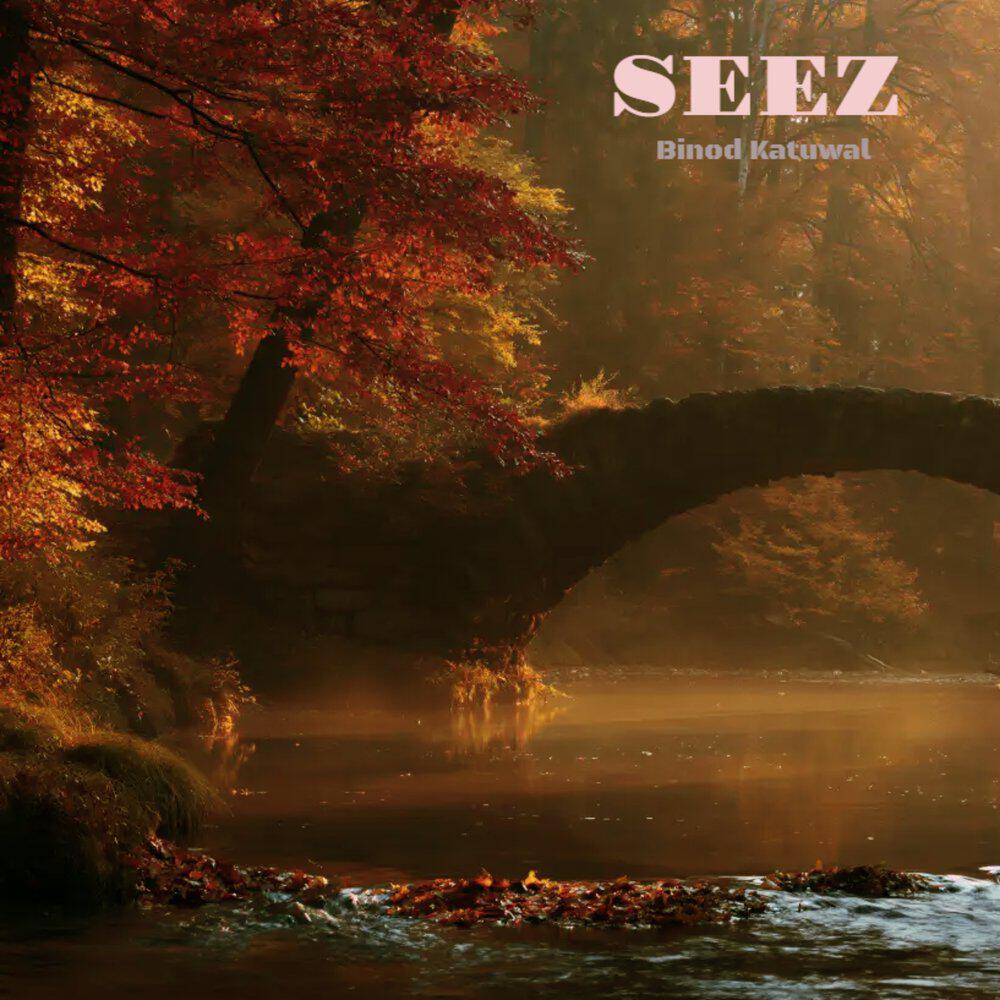 Релиз Seez