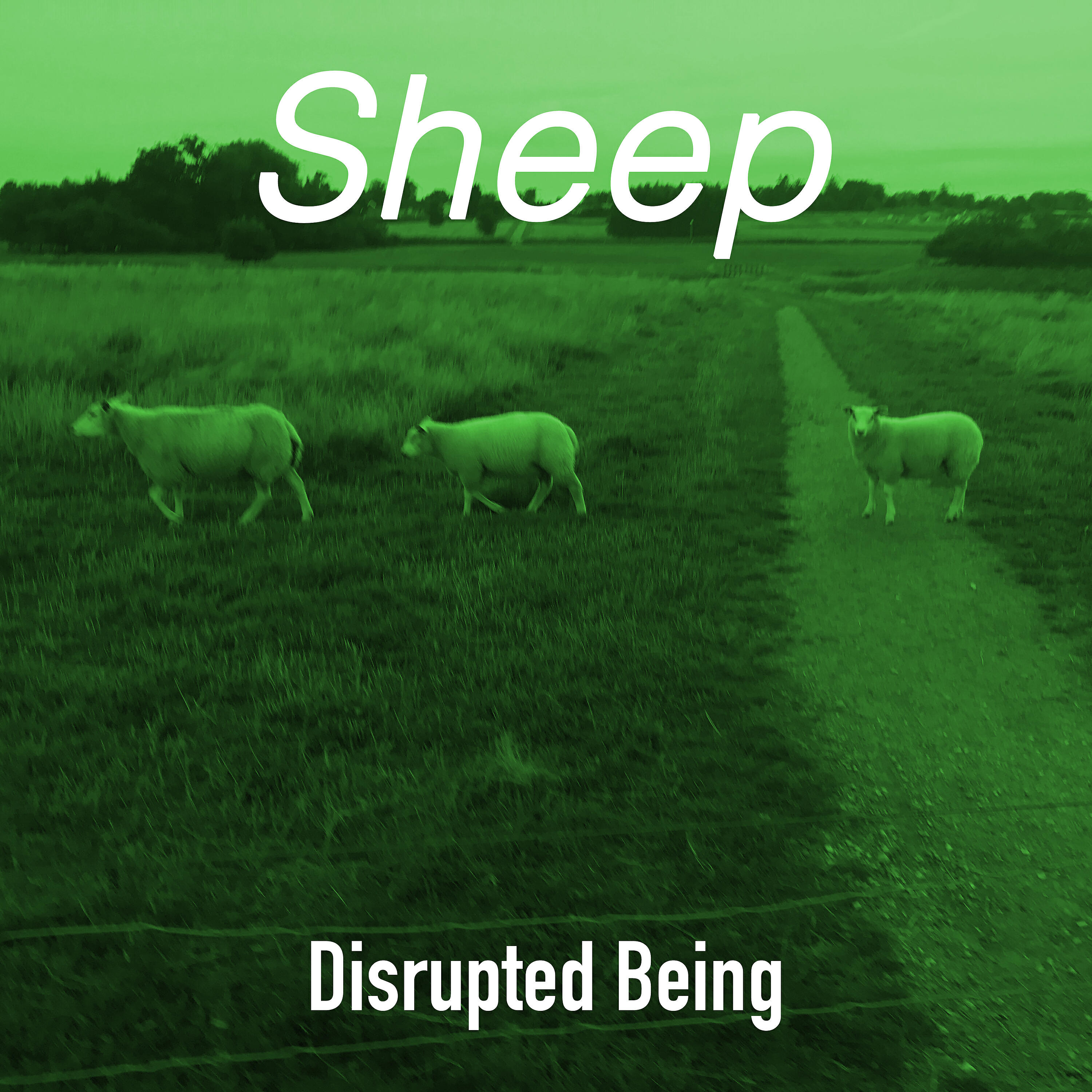 Релиз Sheep