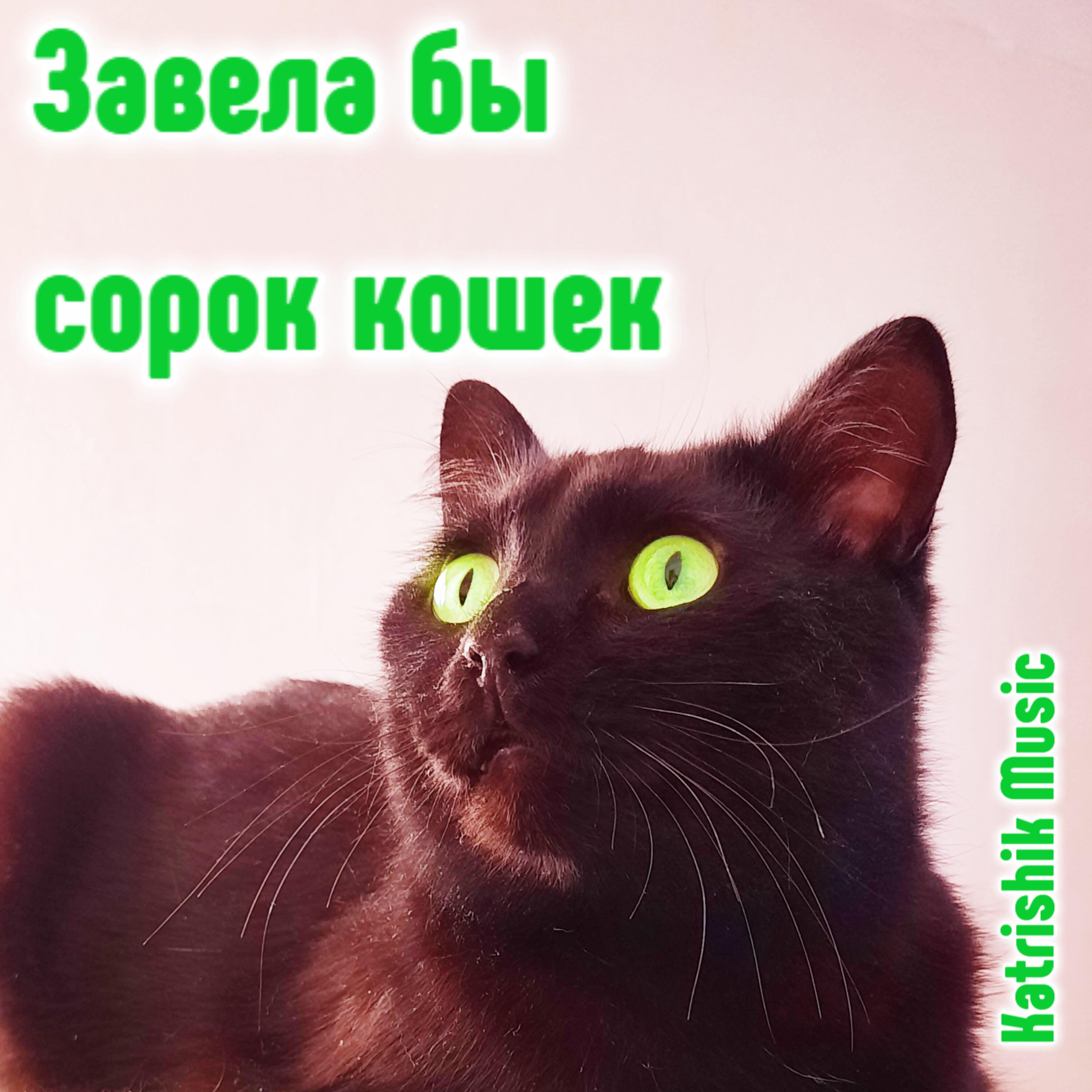 Релиз Завела бы сорок кошек