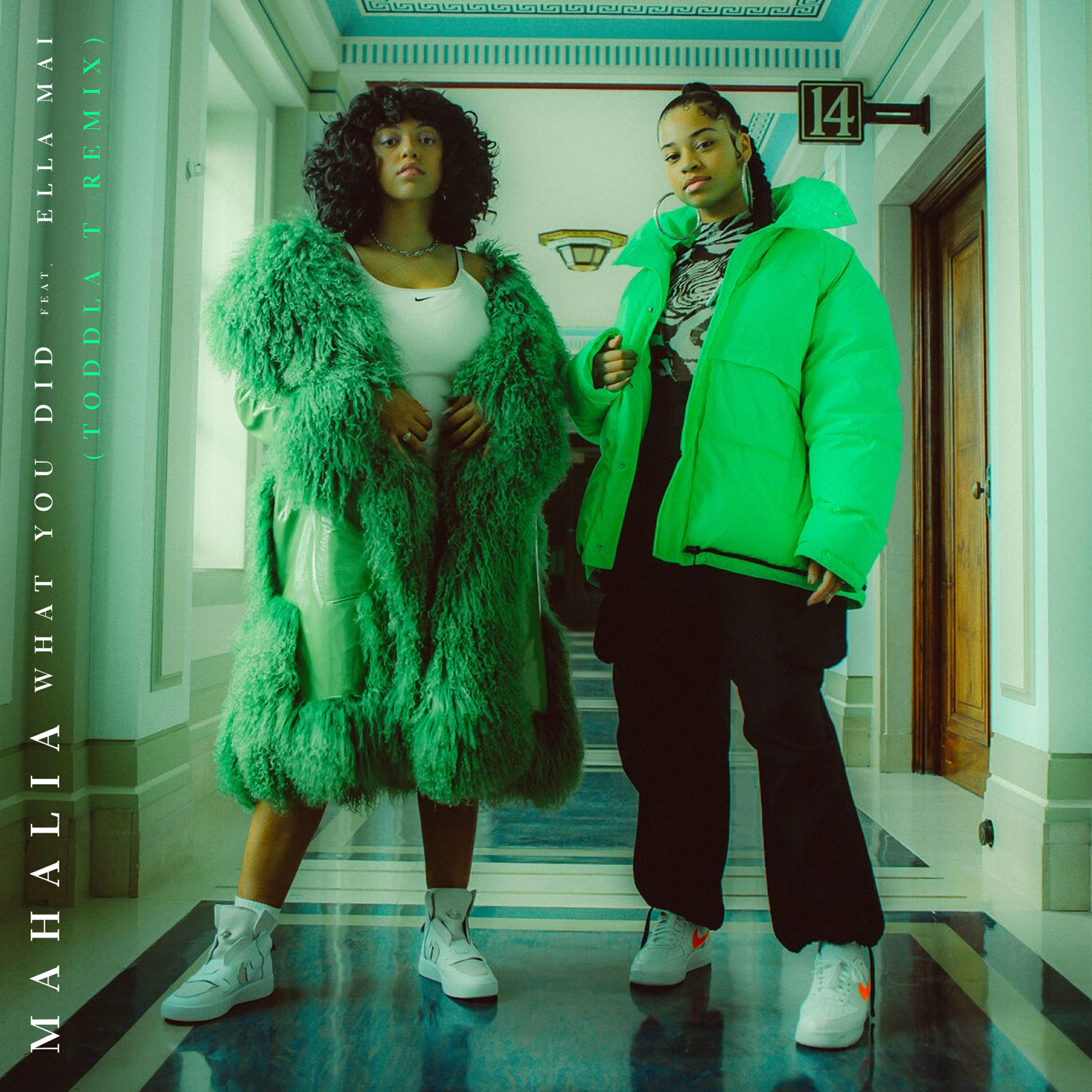 Релиз What You Did (feat. Ella Mai) [Toddla T Remix]