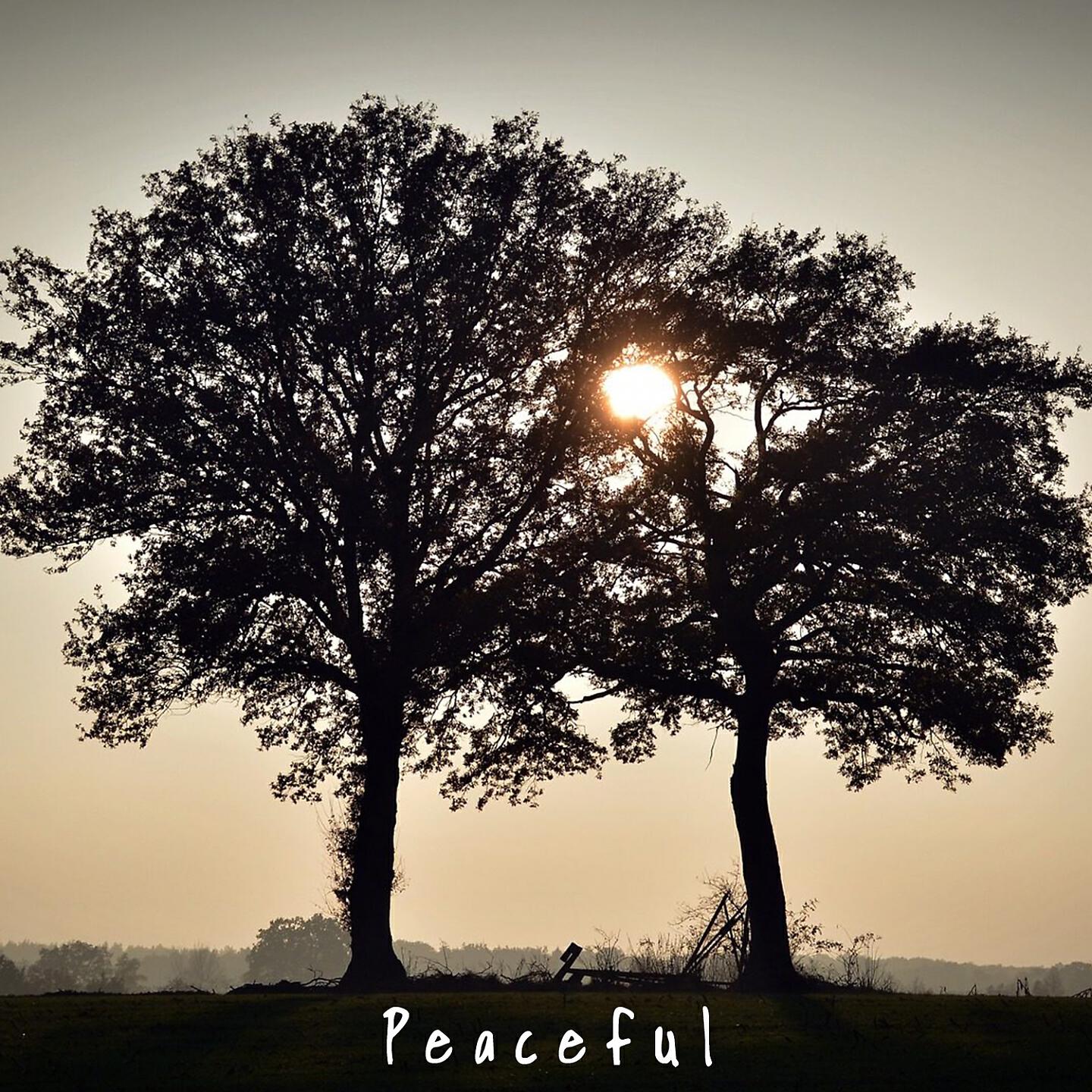 Постер альбома Peaceful