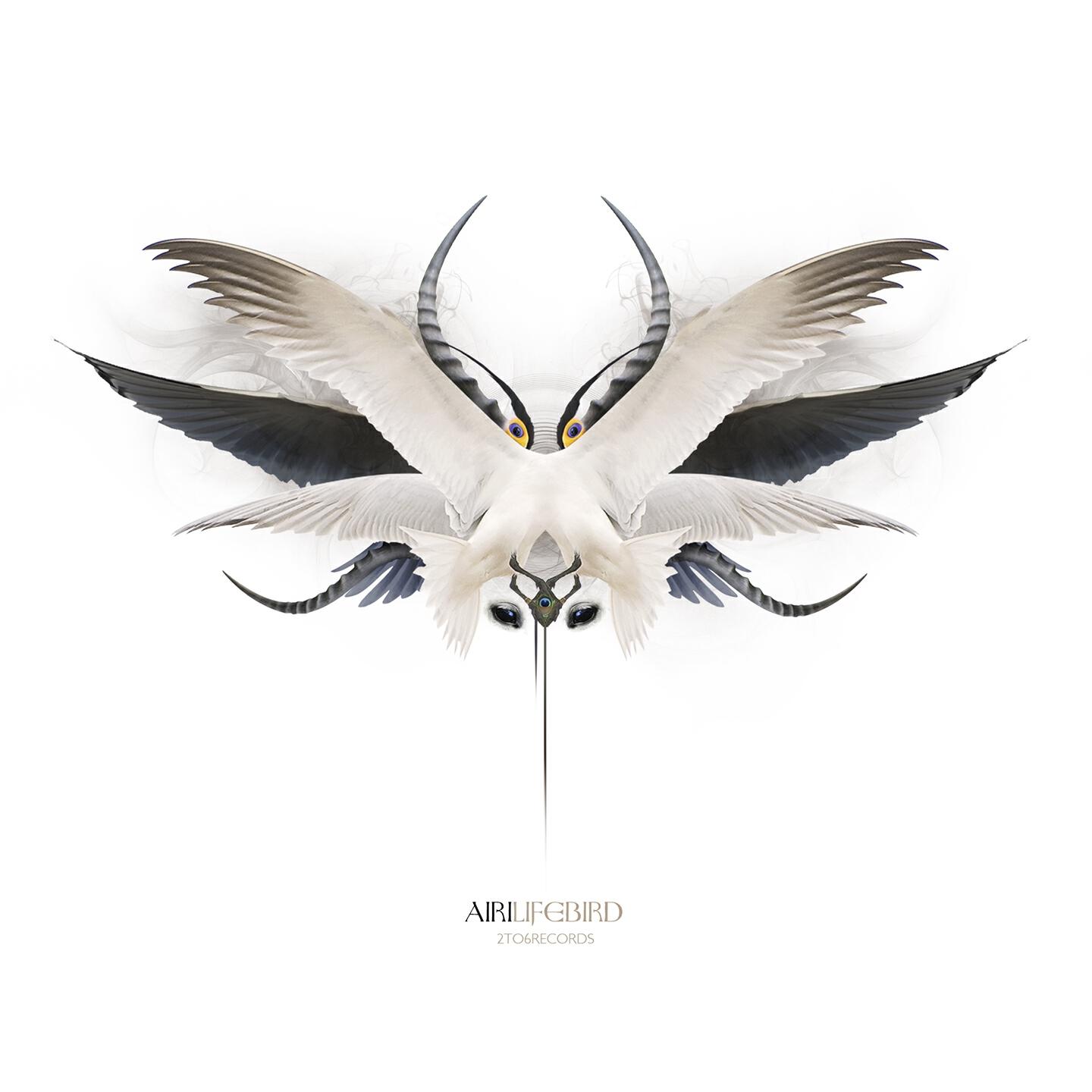 Релиз Lifebird