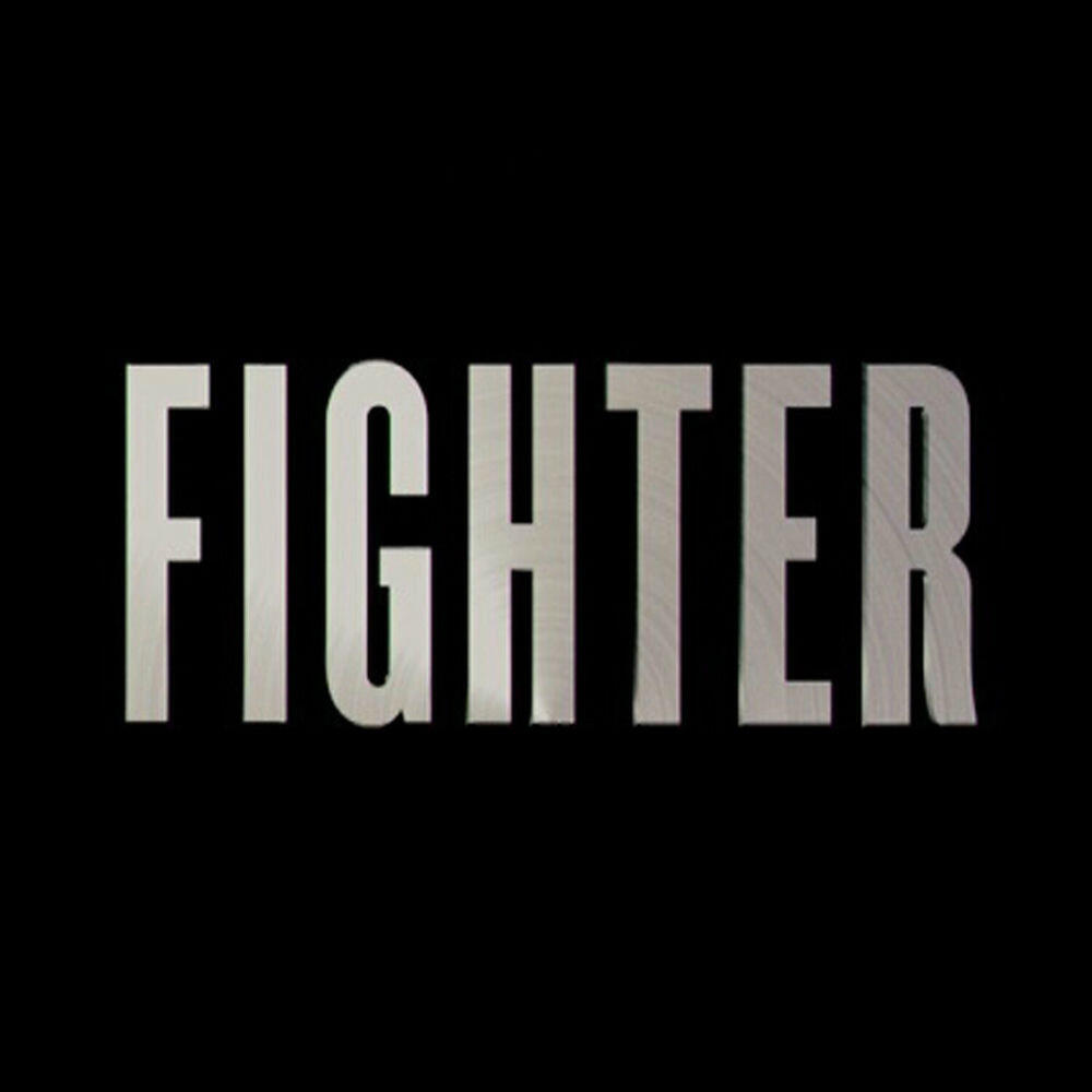 Релиз Fighter