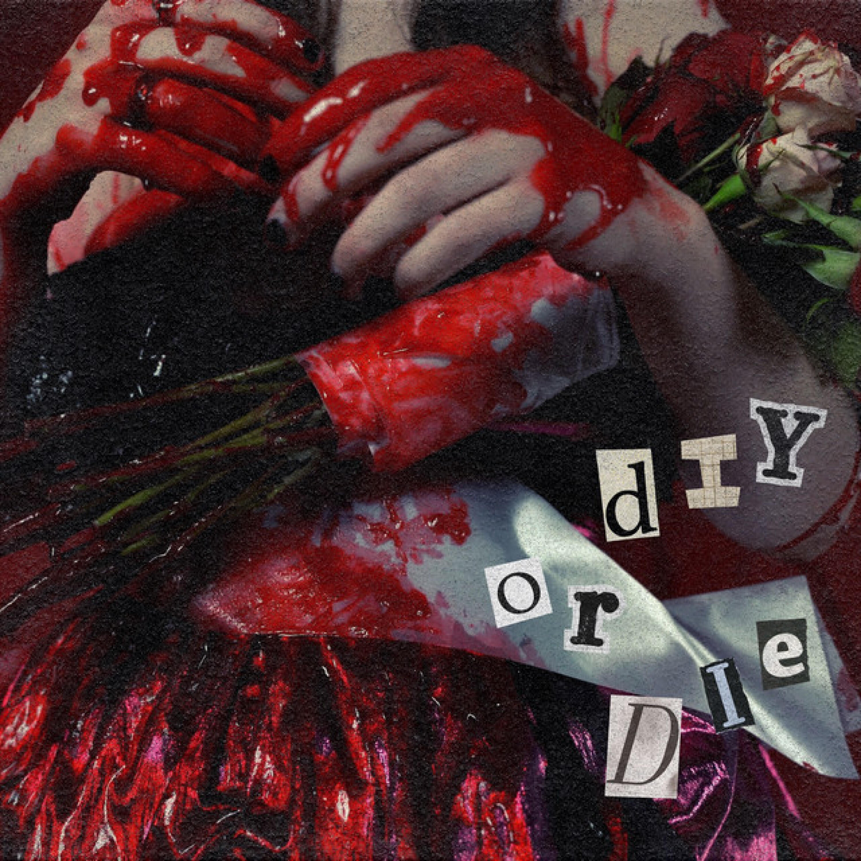 Релиз DIY Or Die