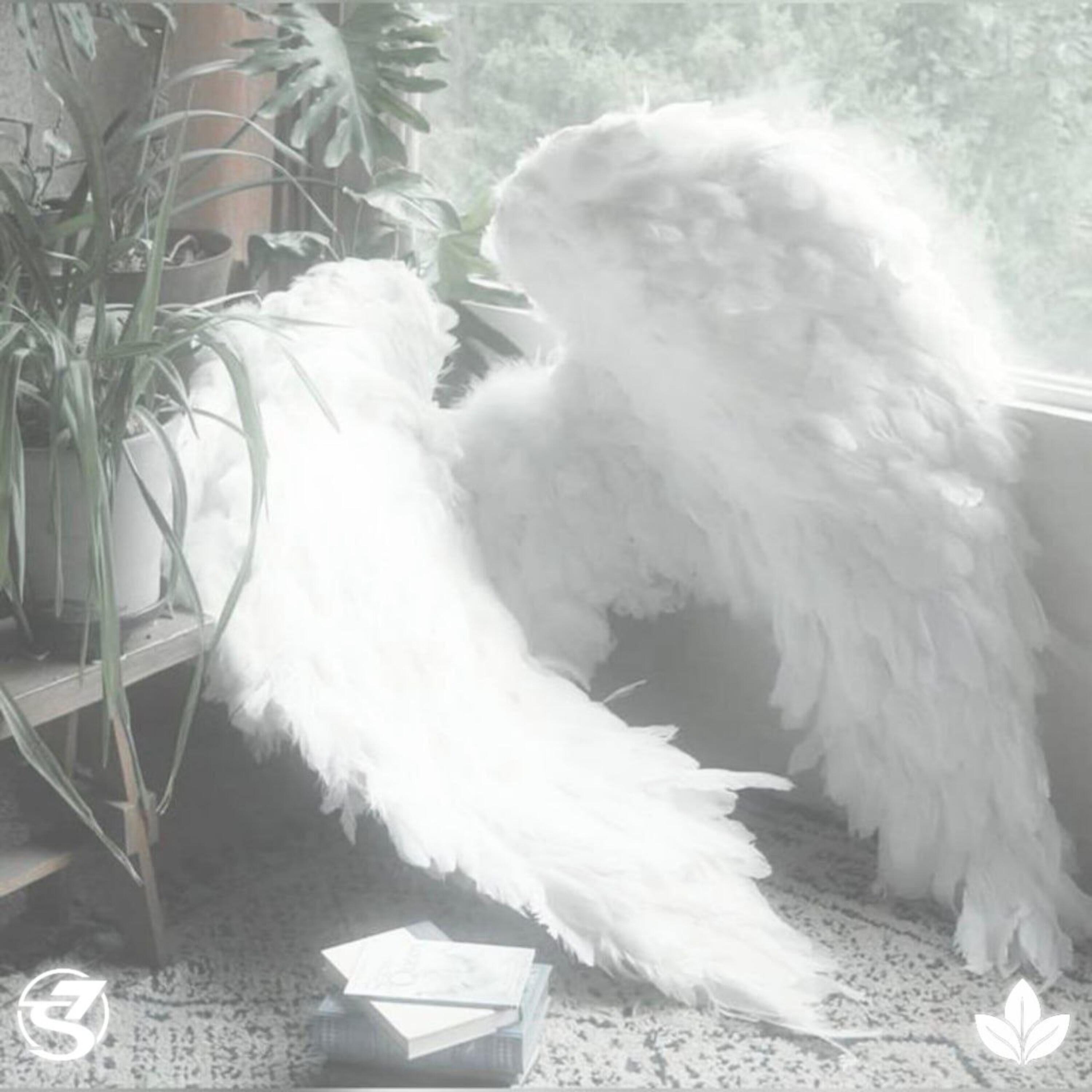Релиз SKYLIGHT