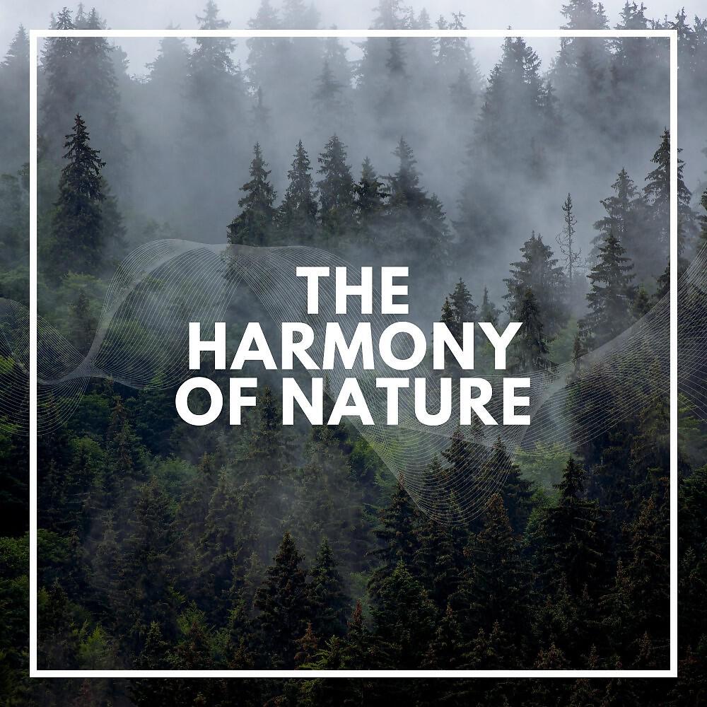 Релиз The Harmony of Nature