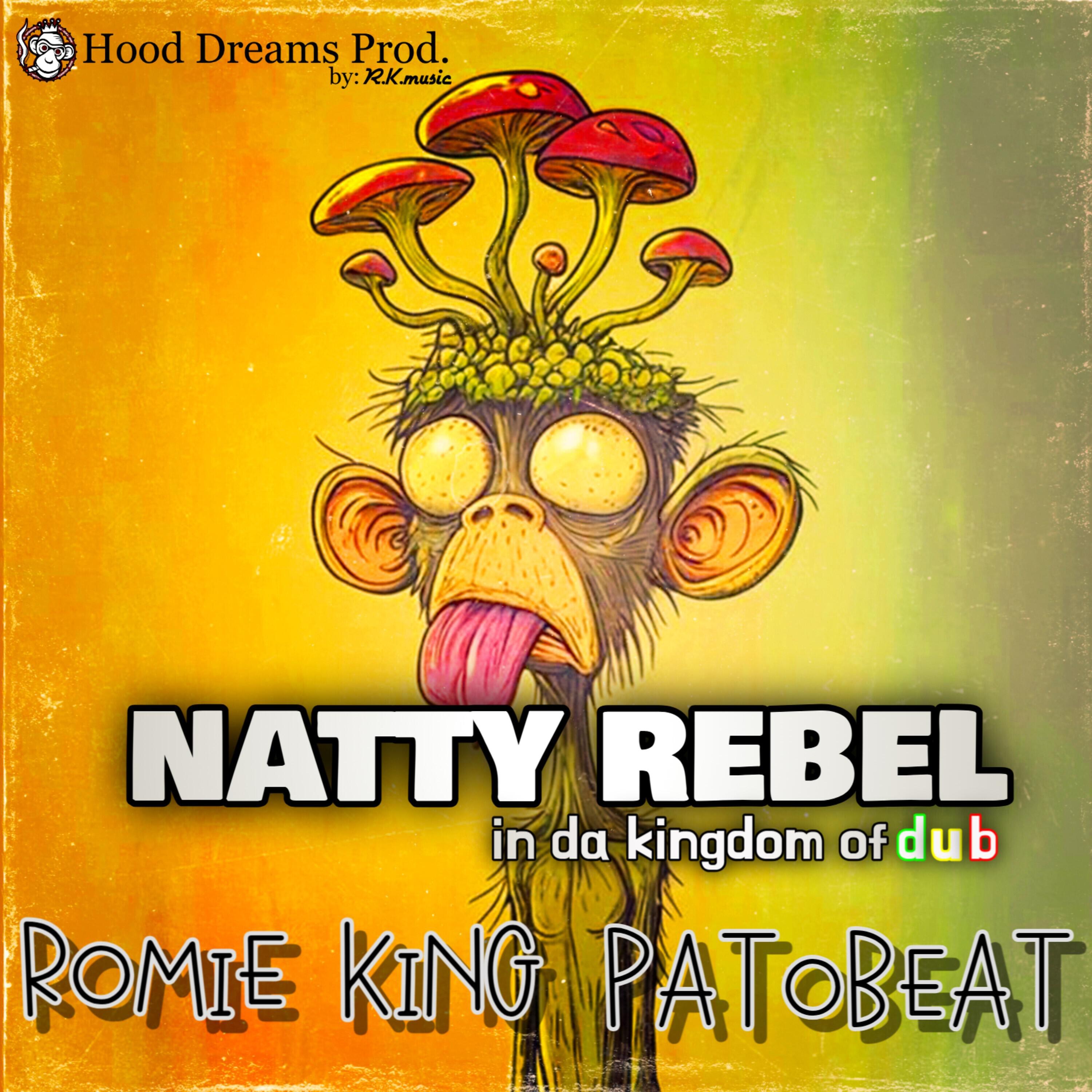 Релиз Natty Rebel