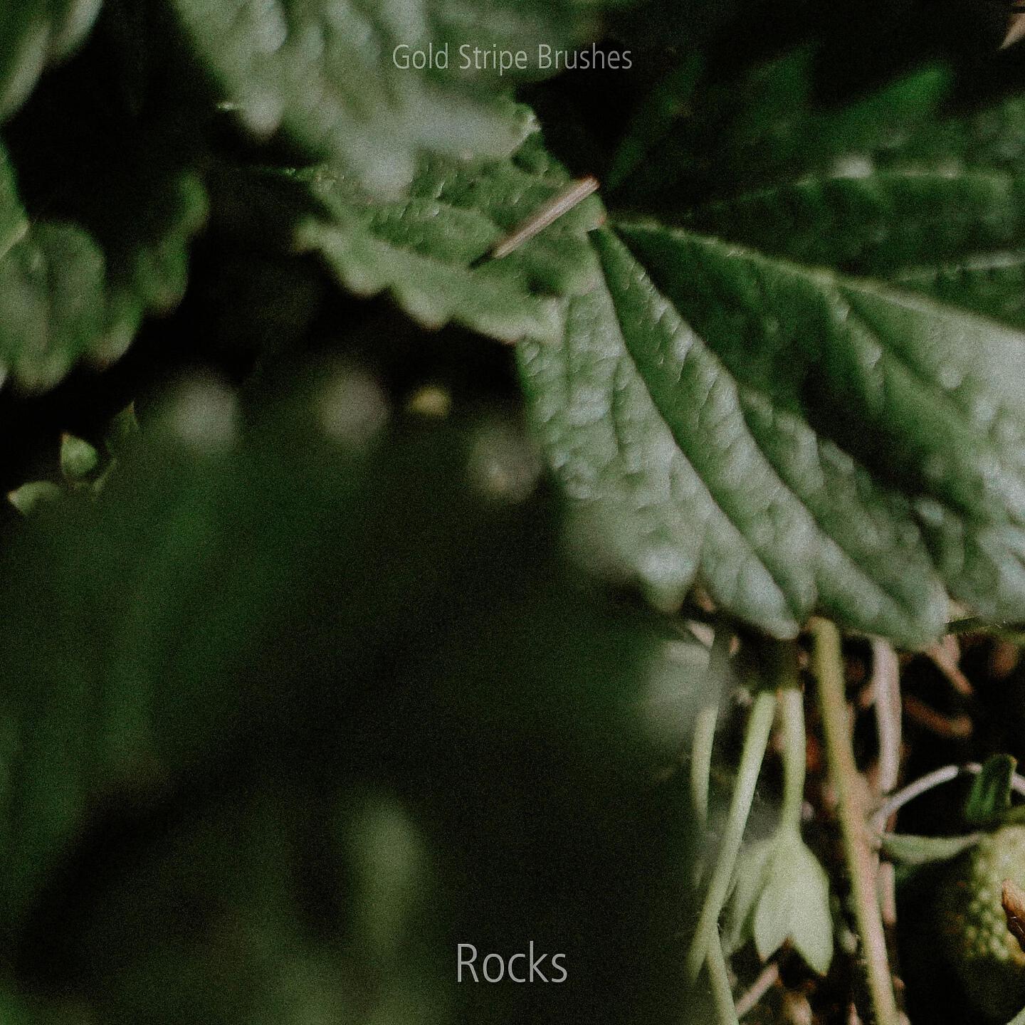 Постер альбома Rocks