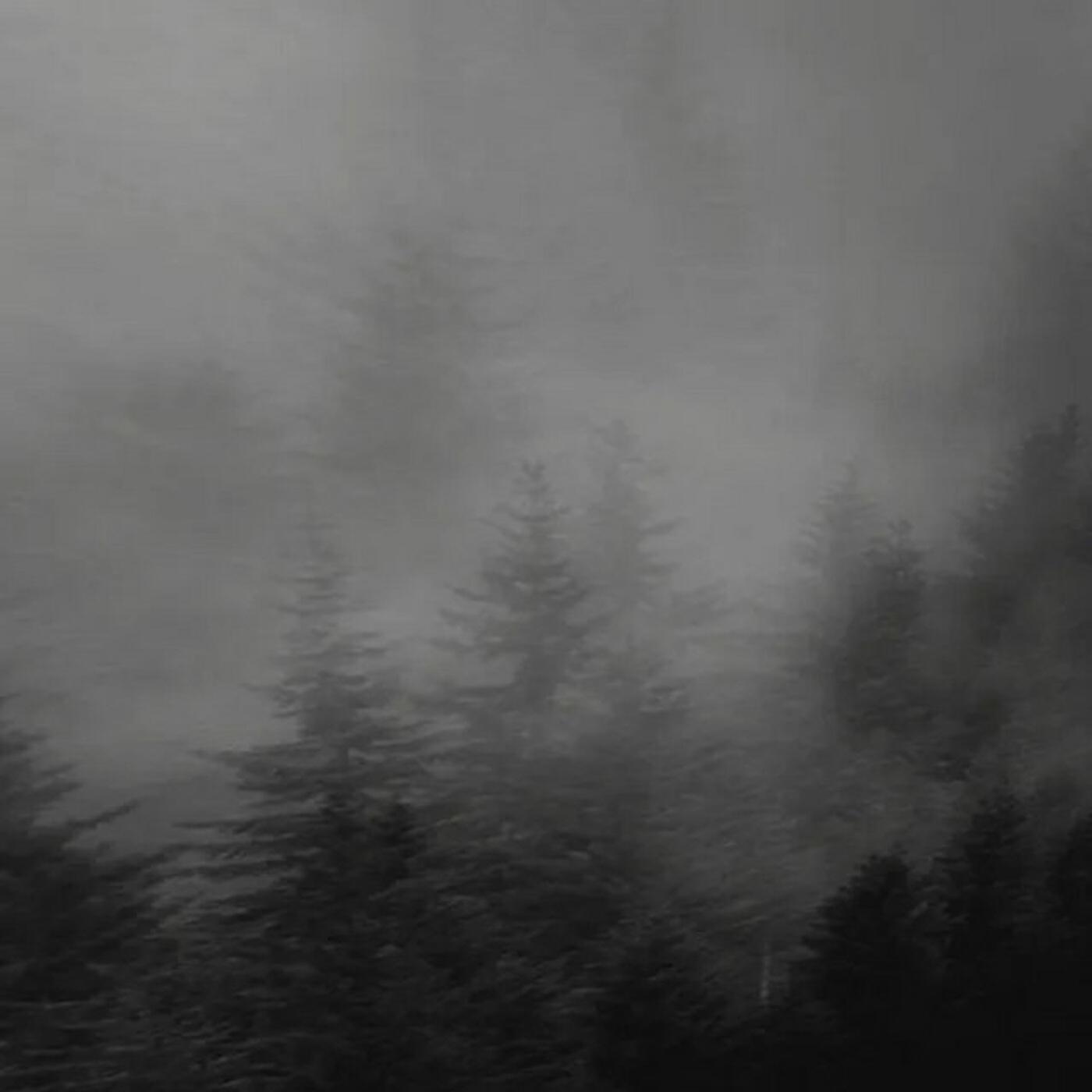 Релиз dark sunrise