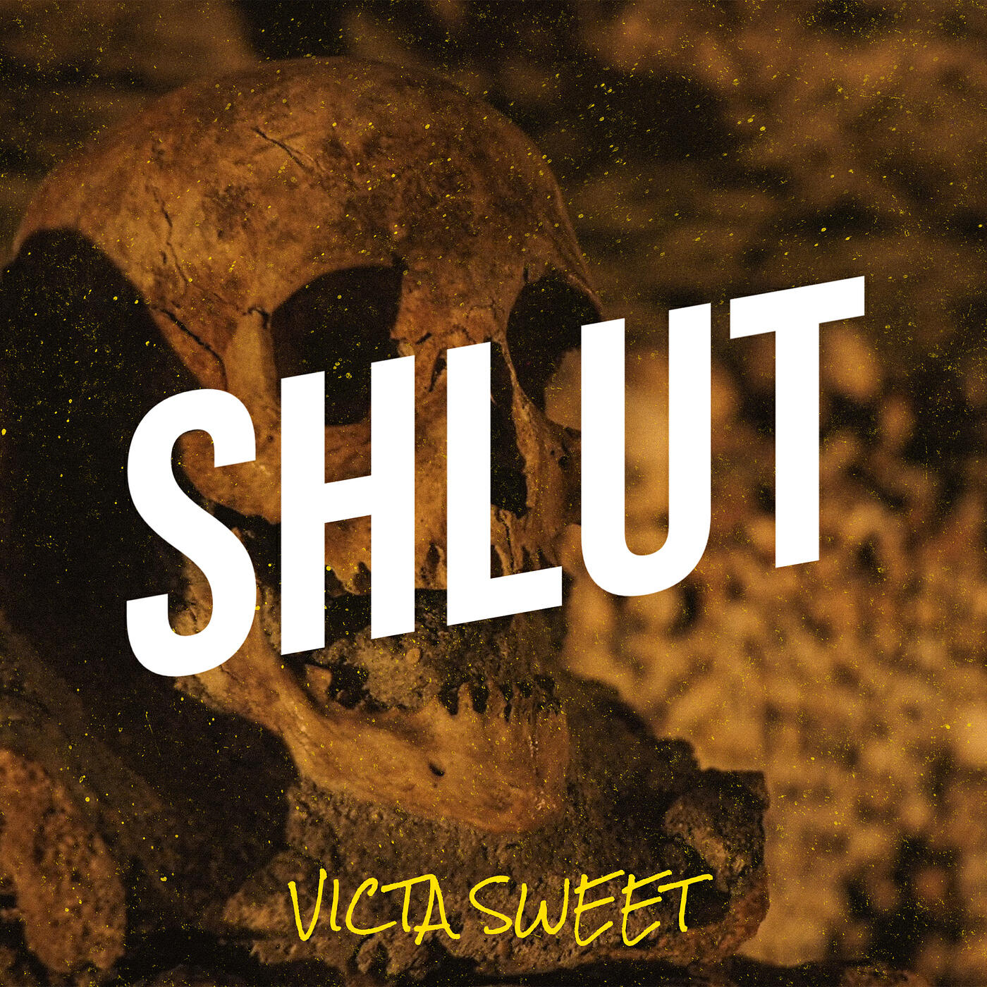 Релиз Shlut