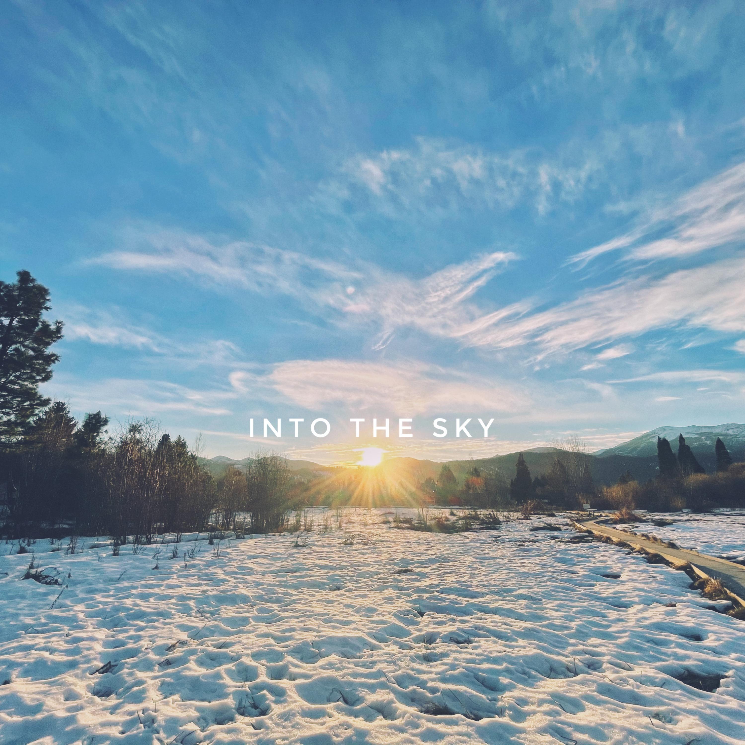 Релиз Into the Sky