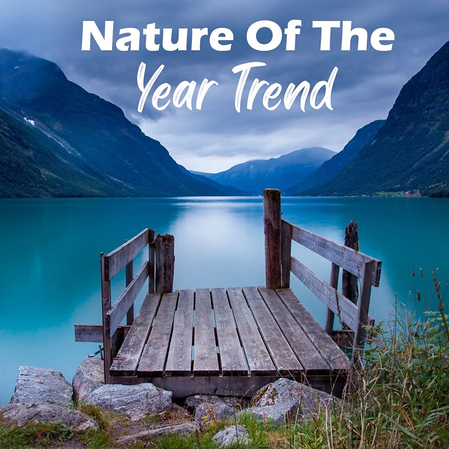 Релиз Nature Of The Year Trend