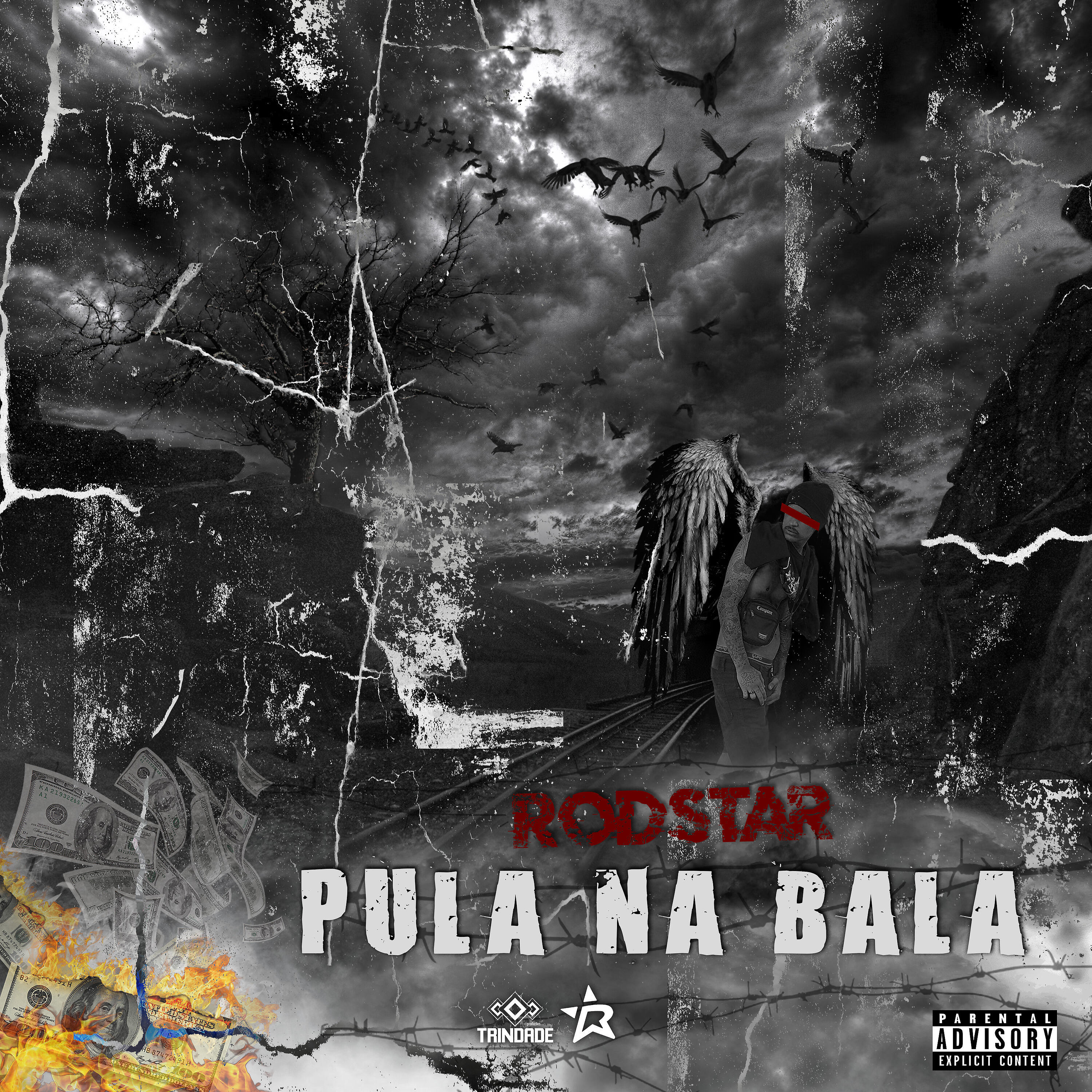 Релиз Pula na Bala
