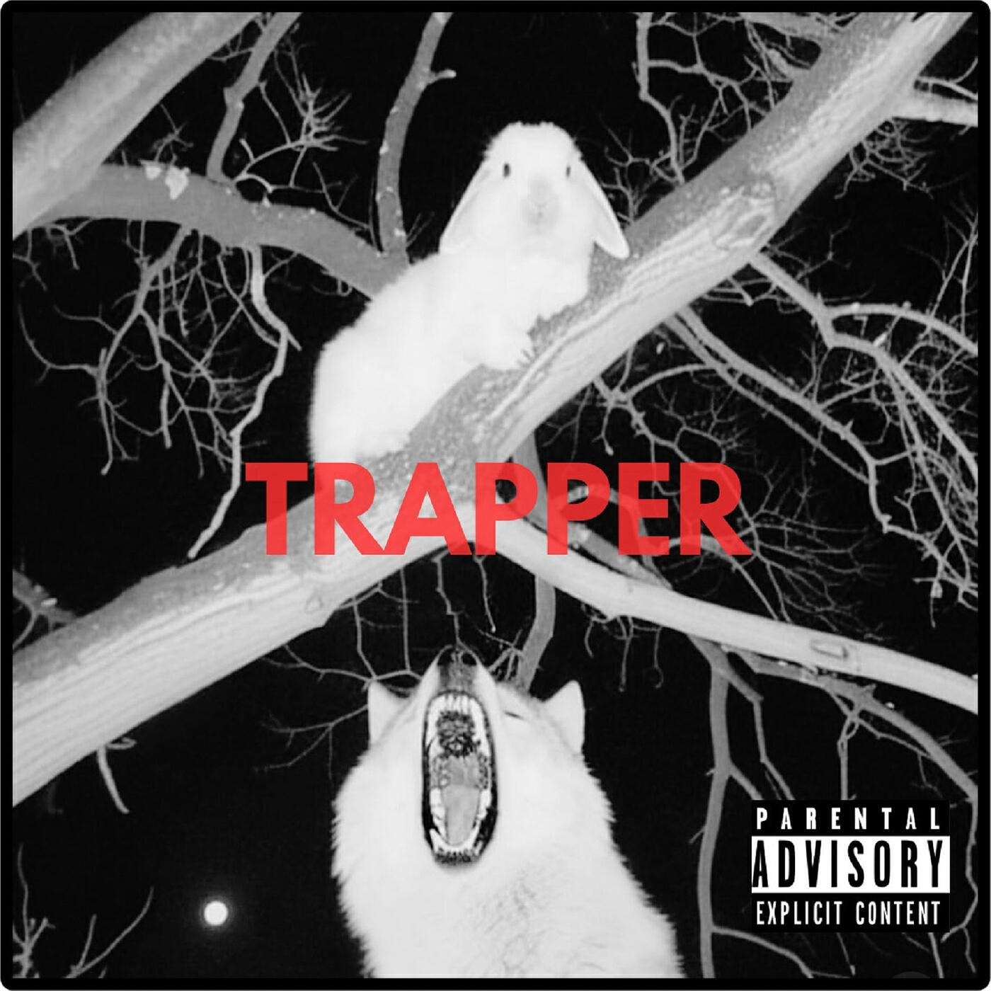 Релиз Trapper