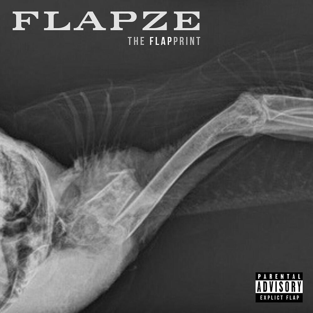 Релиз The FlapPrint