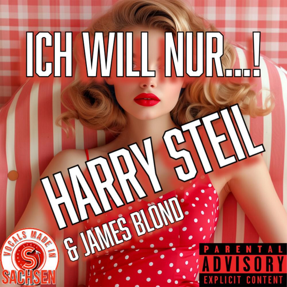Релиз Ich will nur