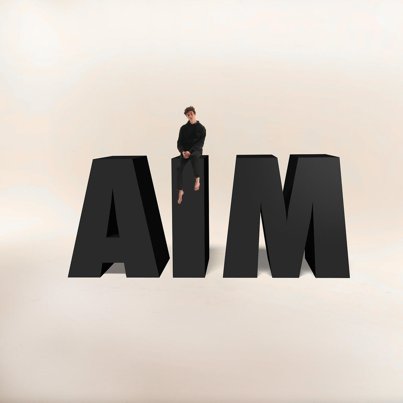 Релиз AIM