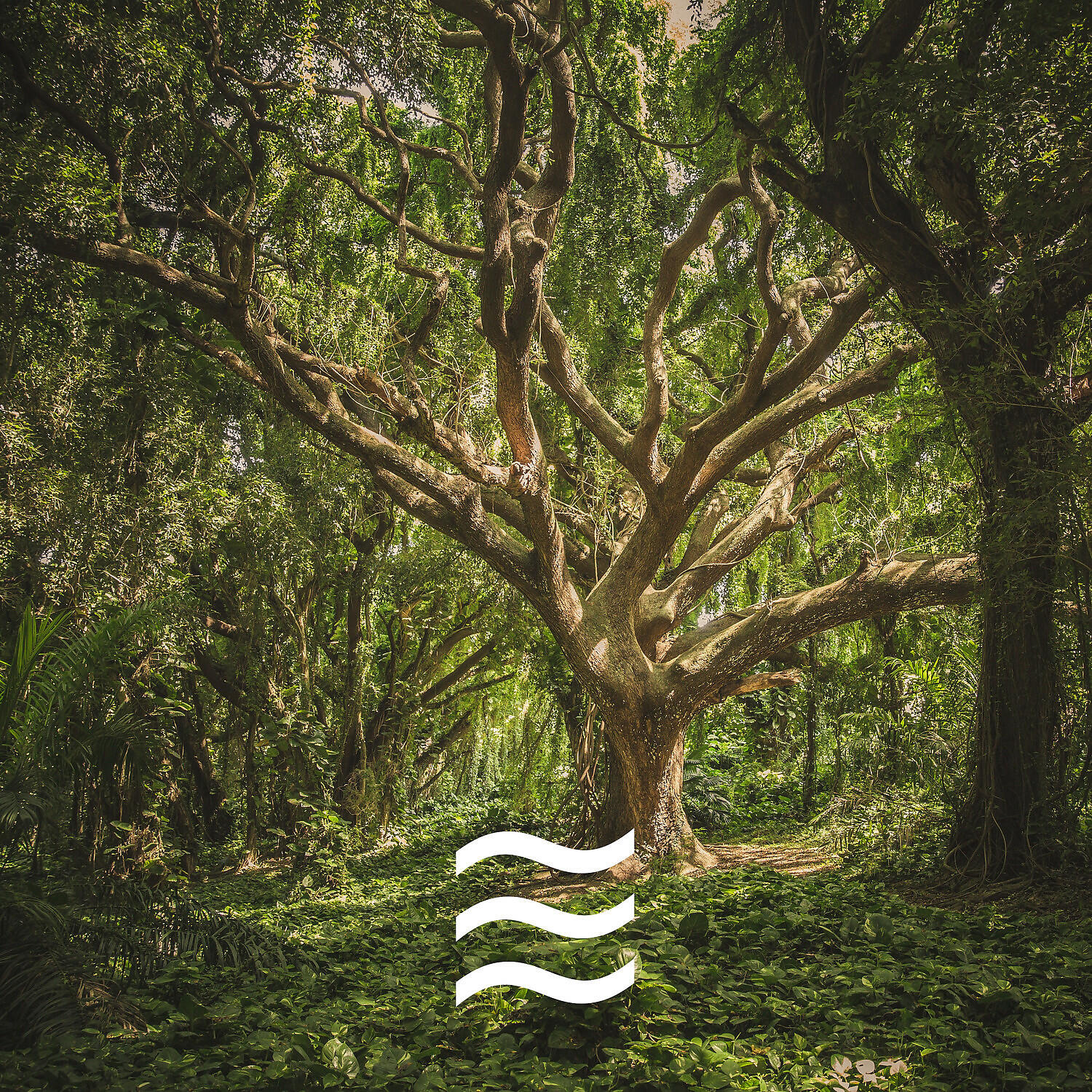 Релиз Rainfall for Relax