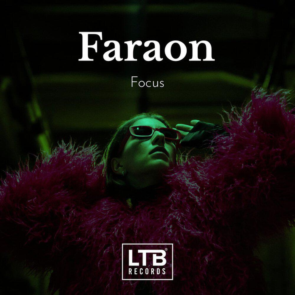Релиз Focus