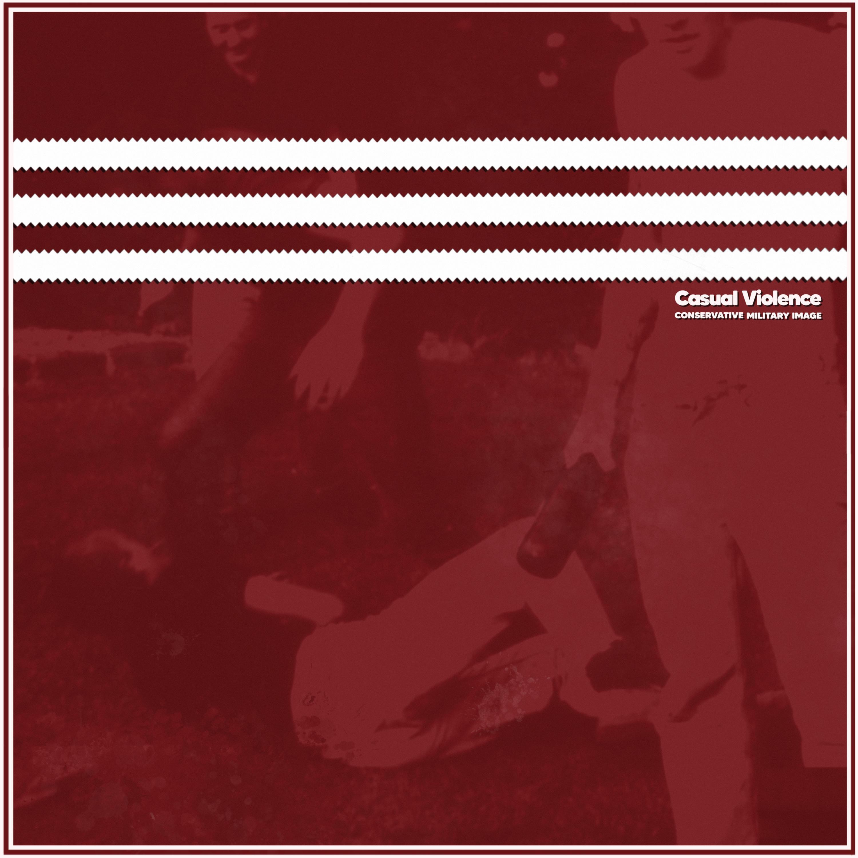 Релиз Casual Violence