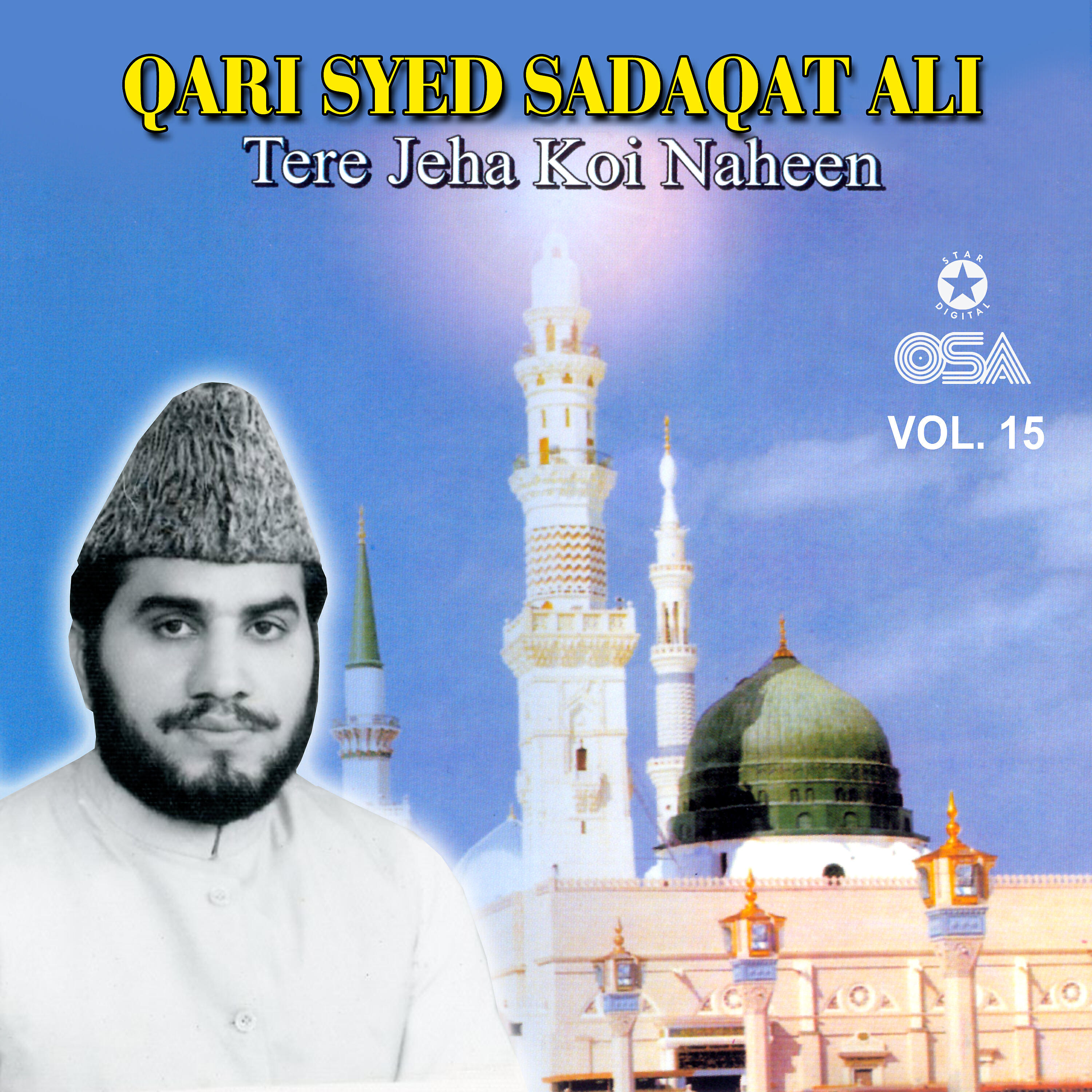 Постер альбома Tere Jeha Koi Naheen, Vol. 15