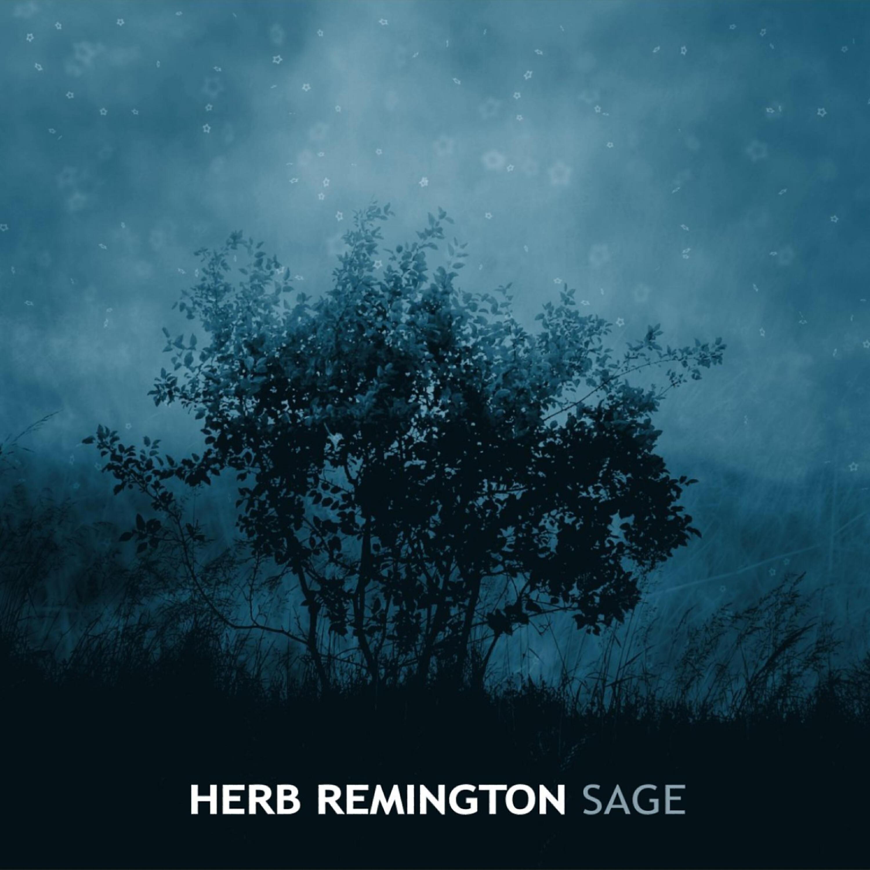 Herb Remington